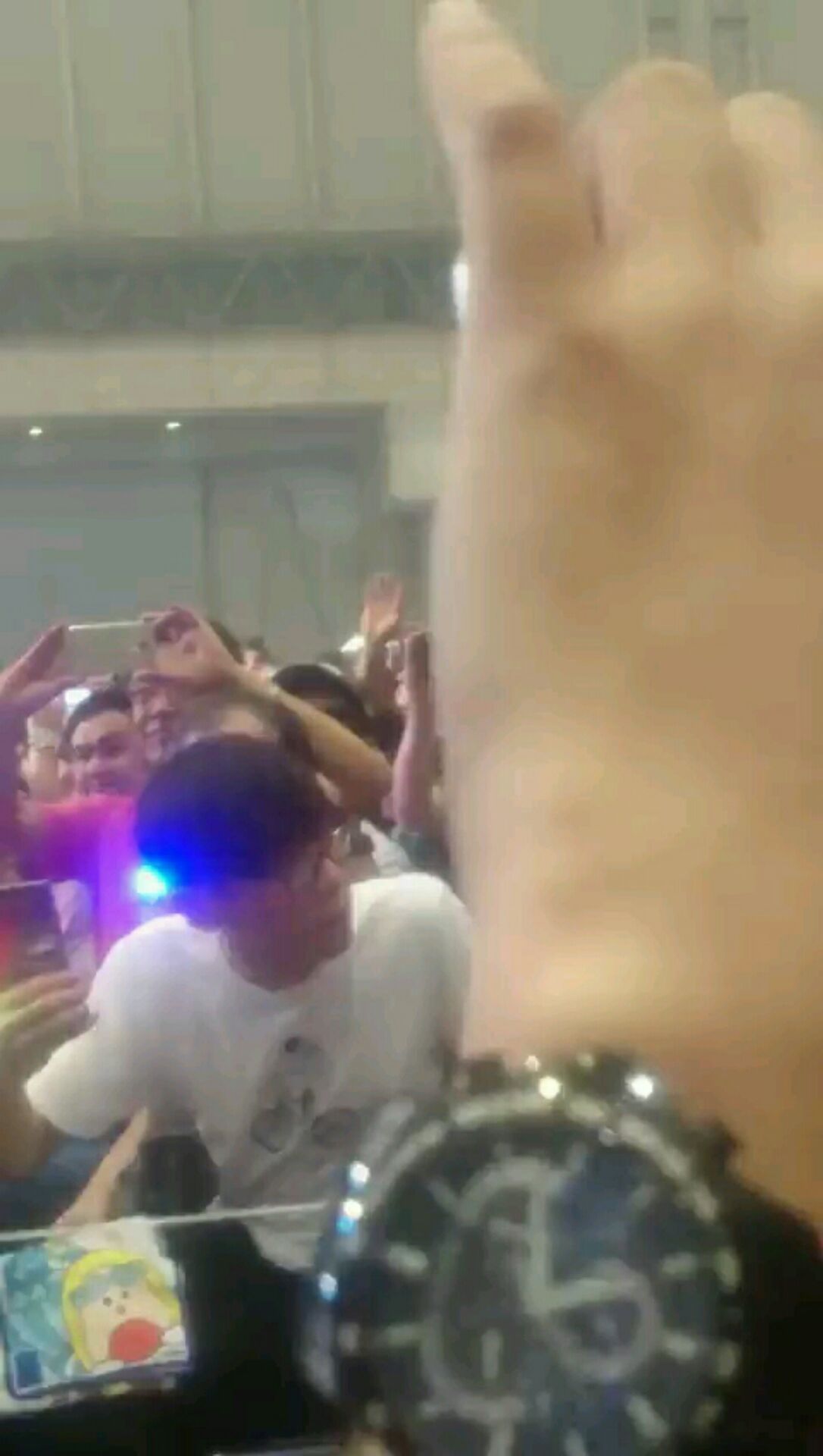 投稿動画サムネイル