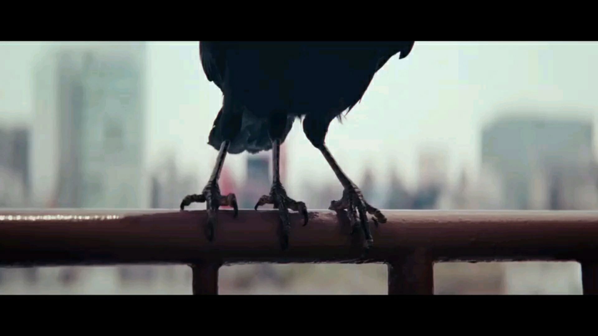 投稿動画サムネイル