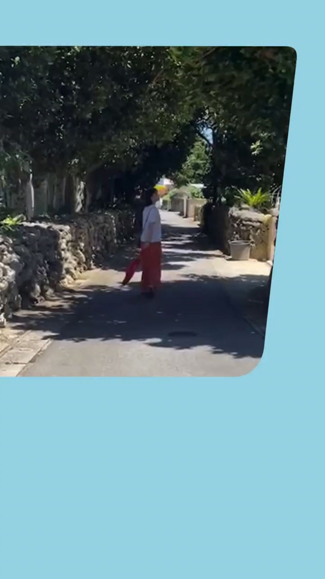 投稿動画サムネイル