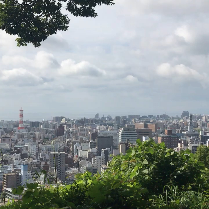 投稿動画サムネイル