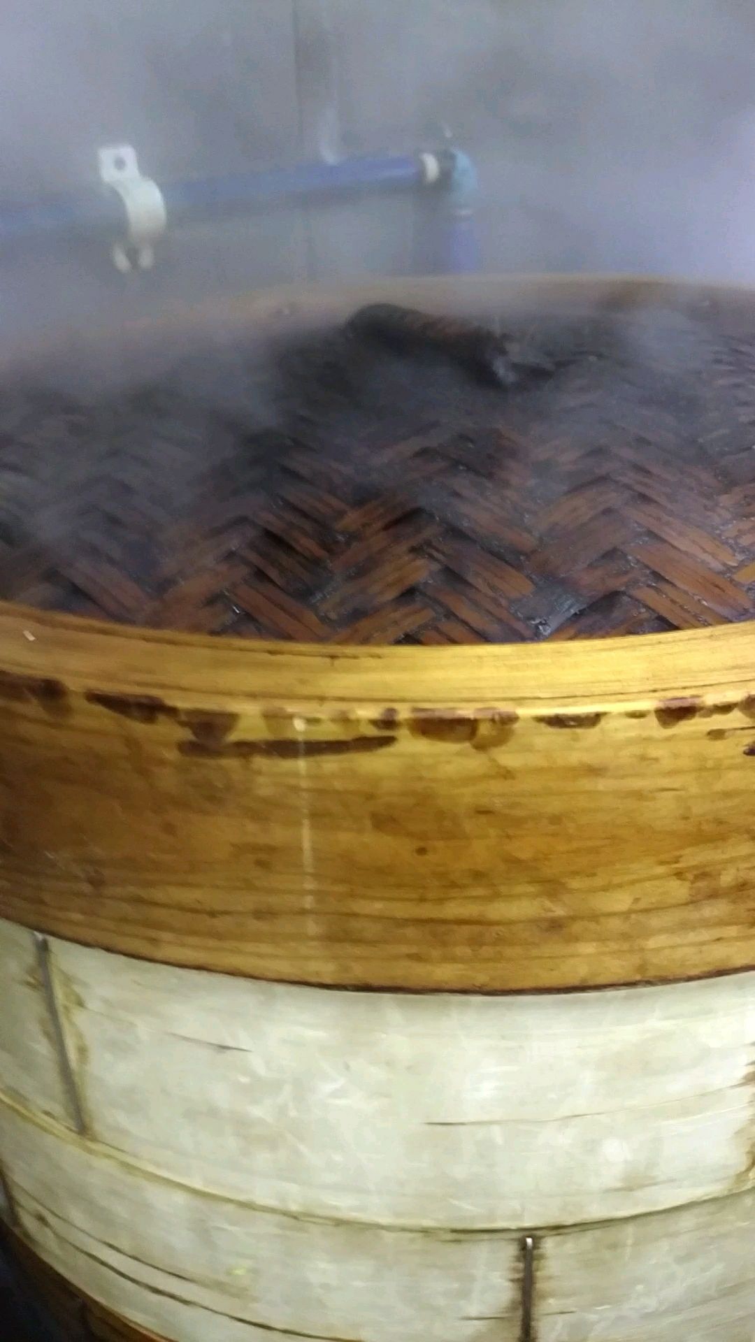 投稿動画サムネイル