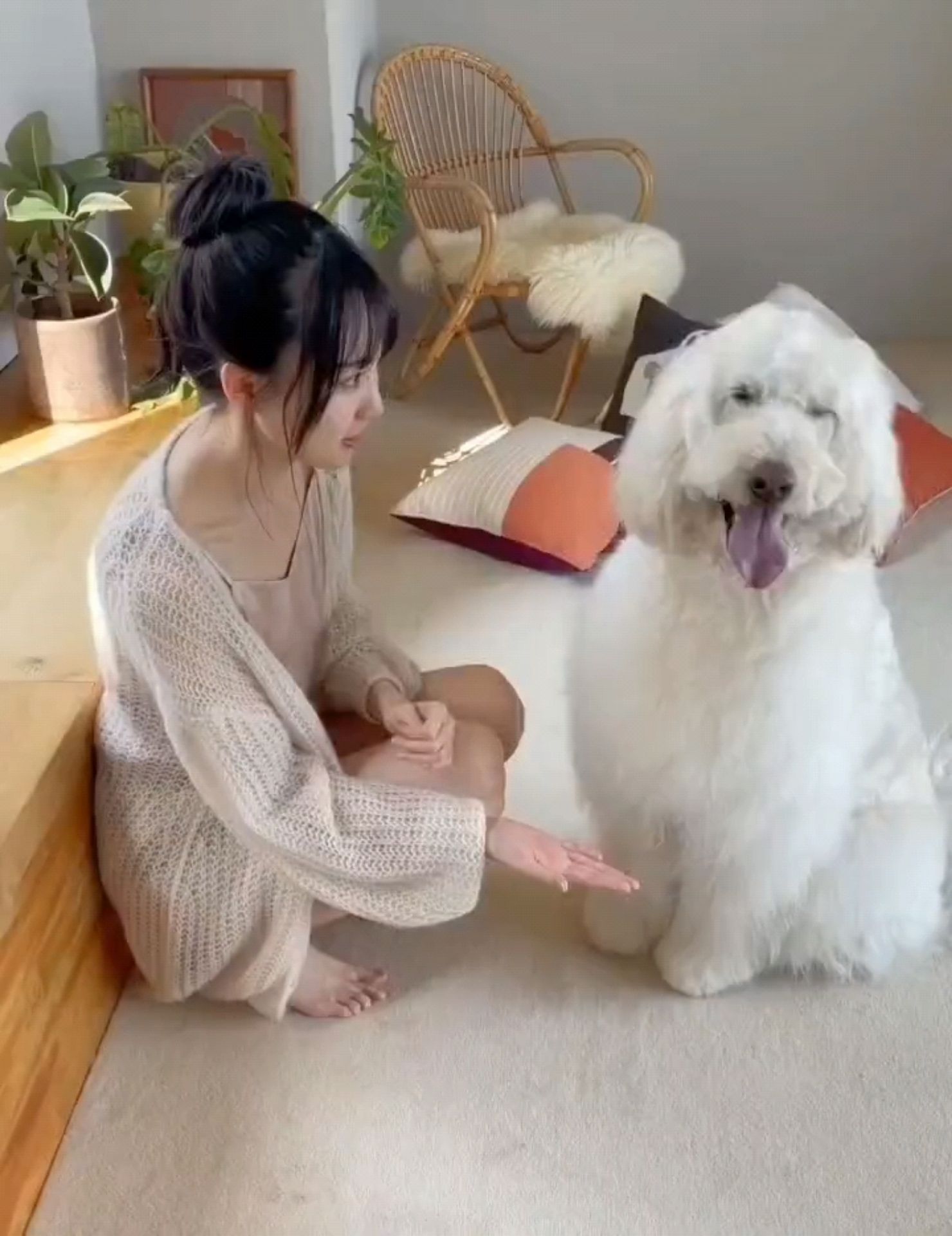 投稿動画サムネイル