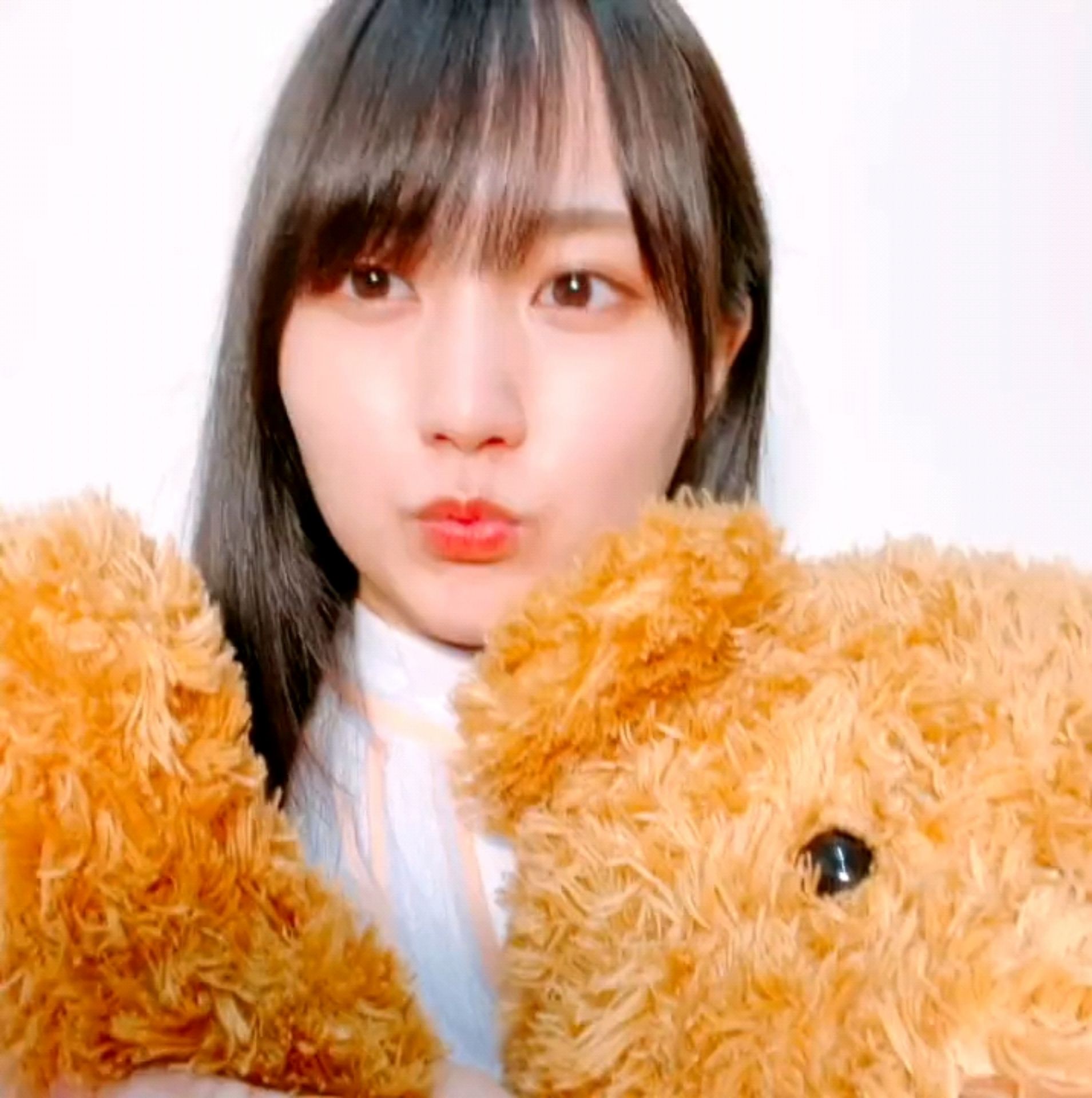 投稿動画サムネイル