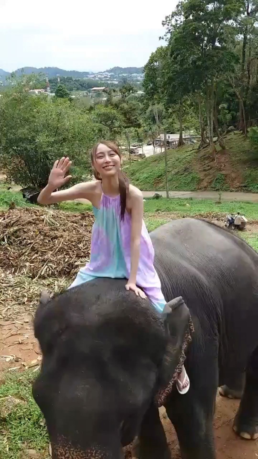 投稿動画サムネイル