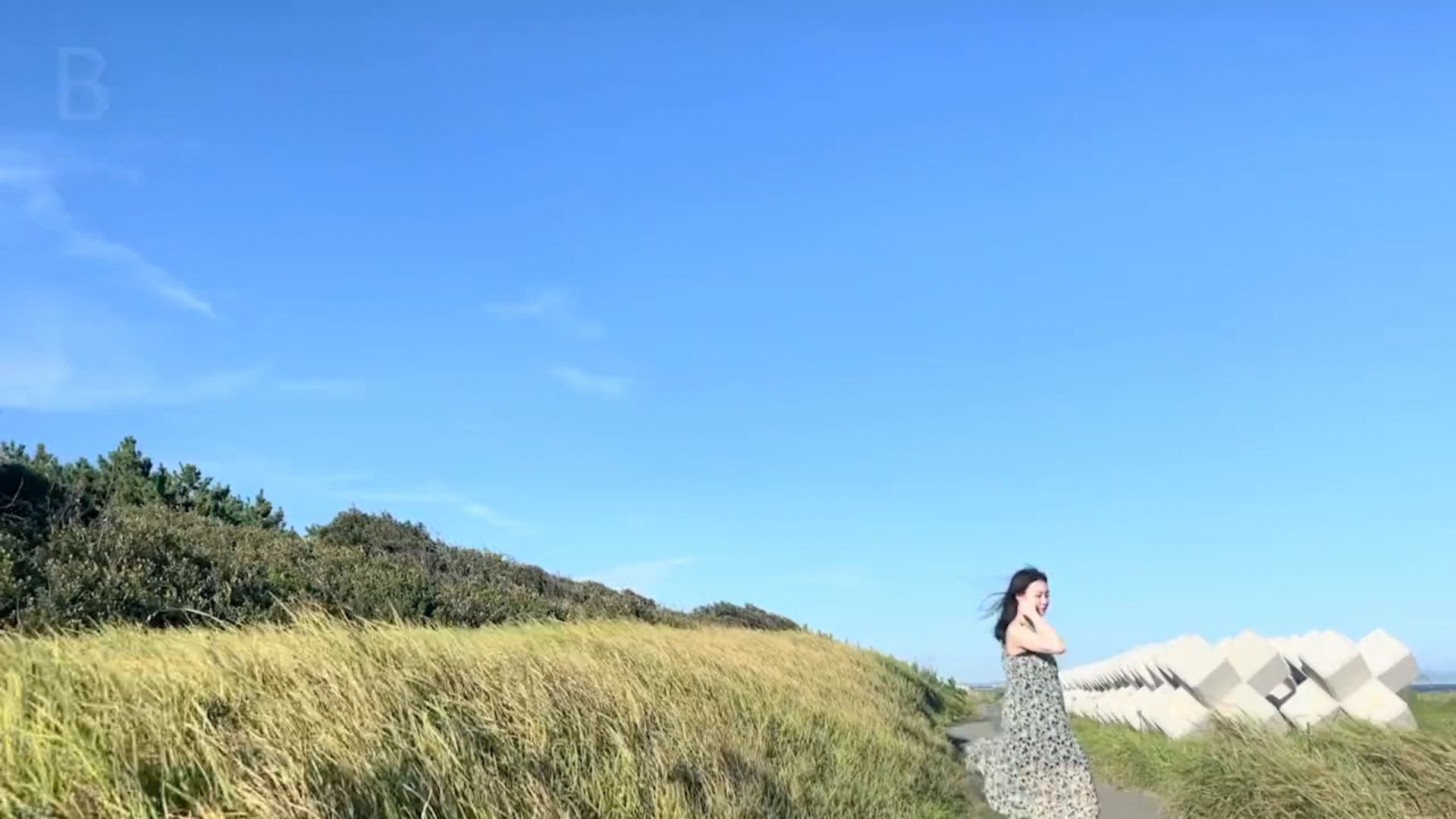 投稿動画サムネイル