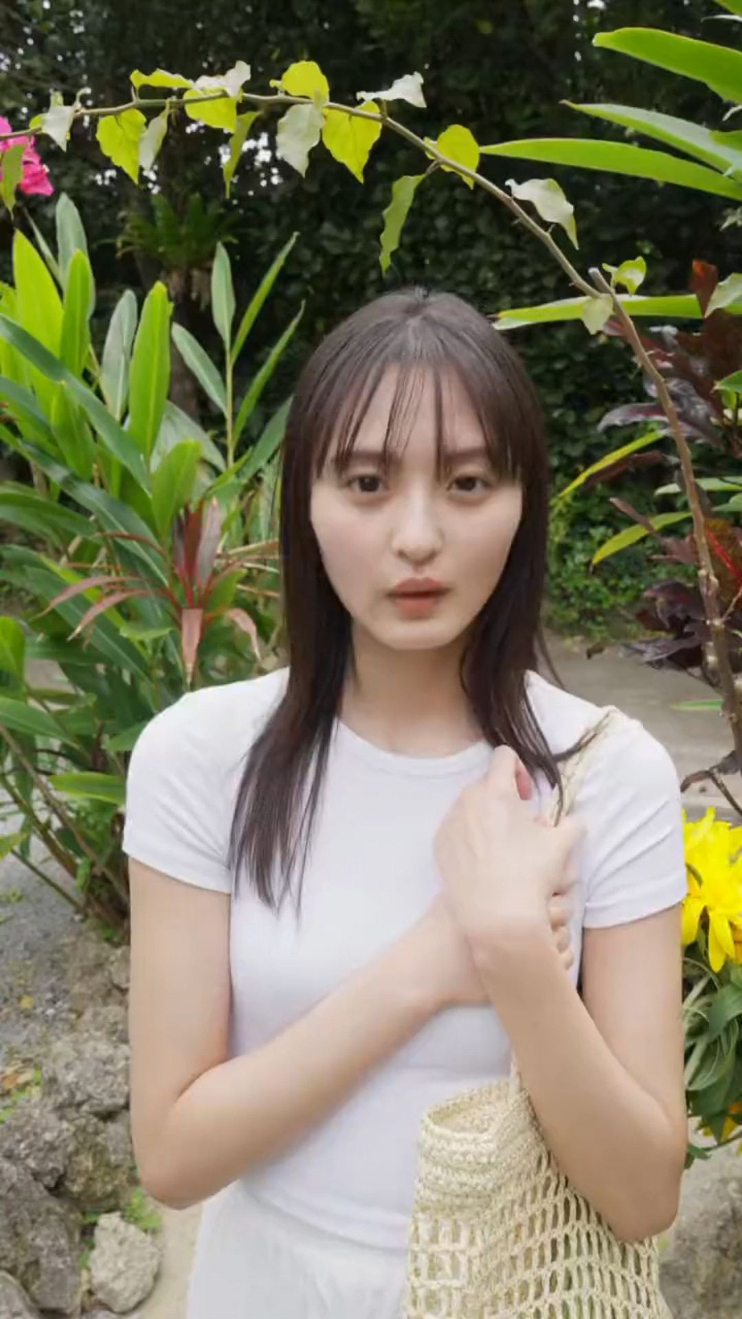 投稿動画サムネイル