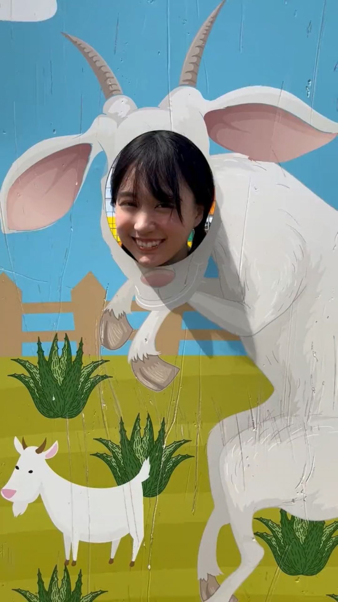 投稿動画サムネイル