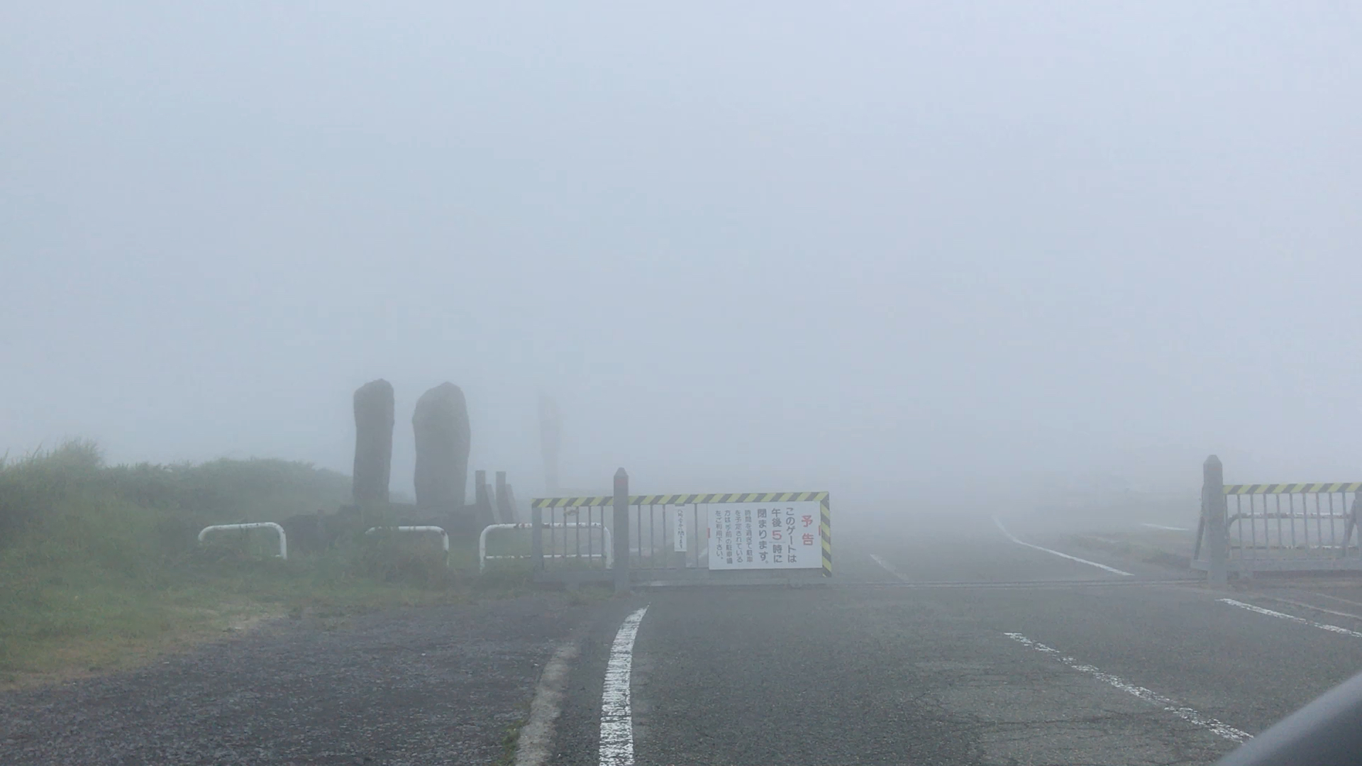 投稿動画サムネイル