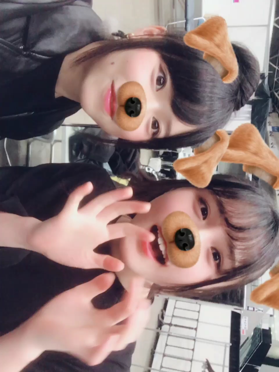 投稿動画サムネイル