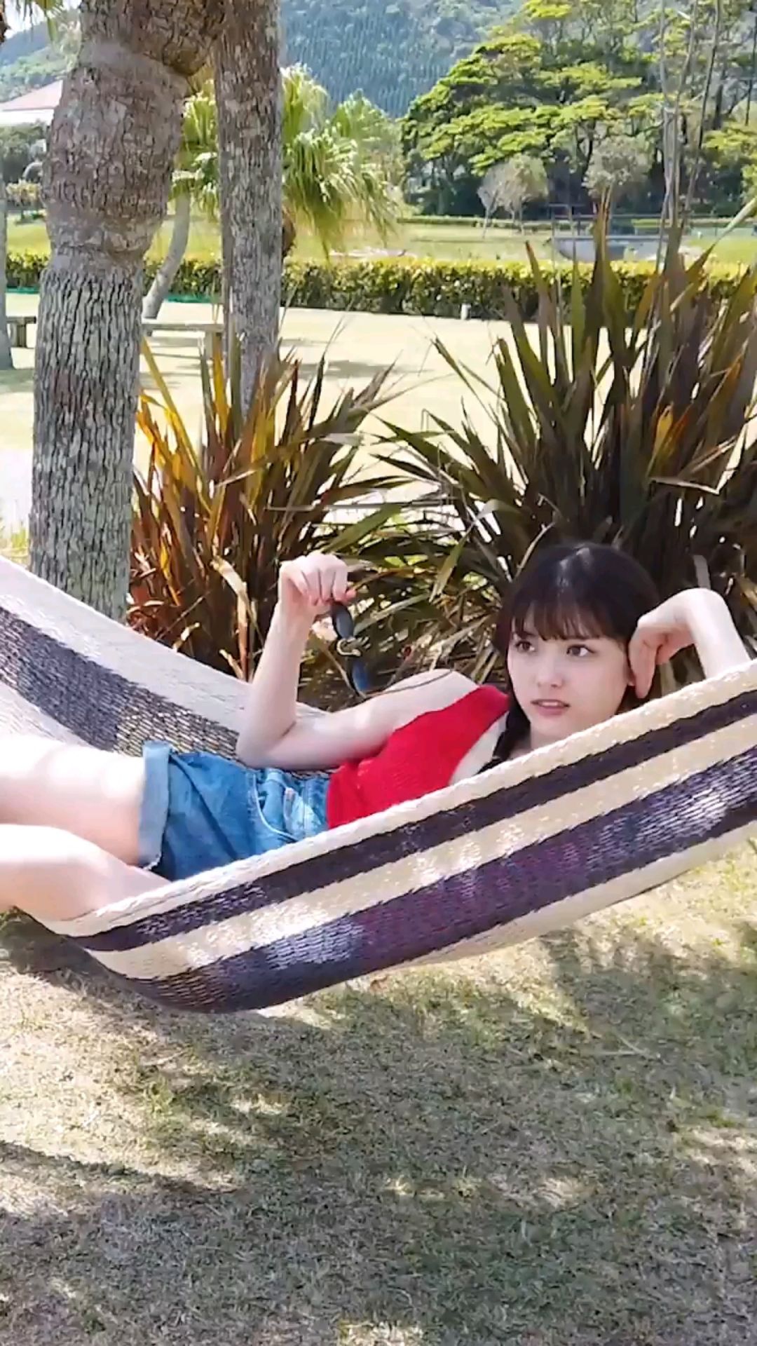 投稿動画サムネイル