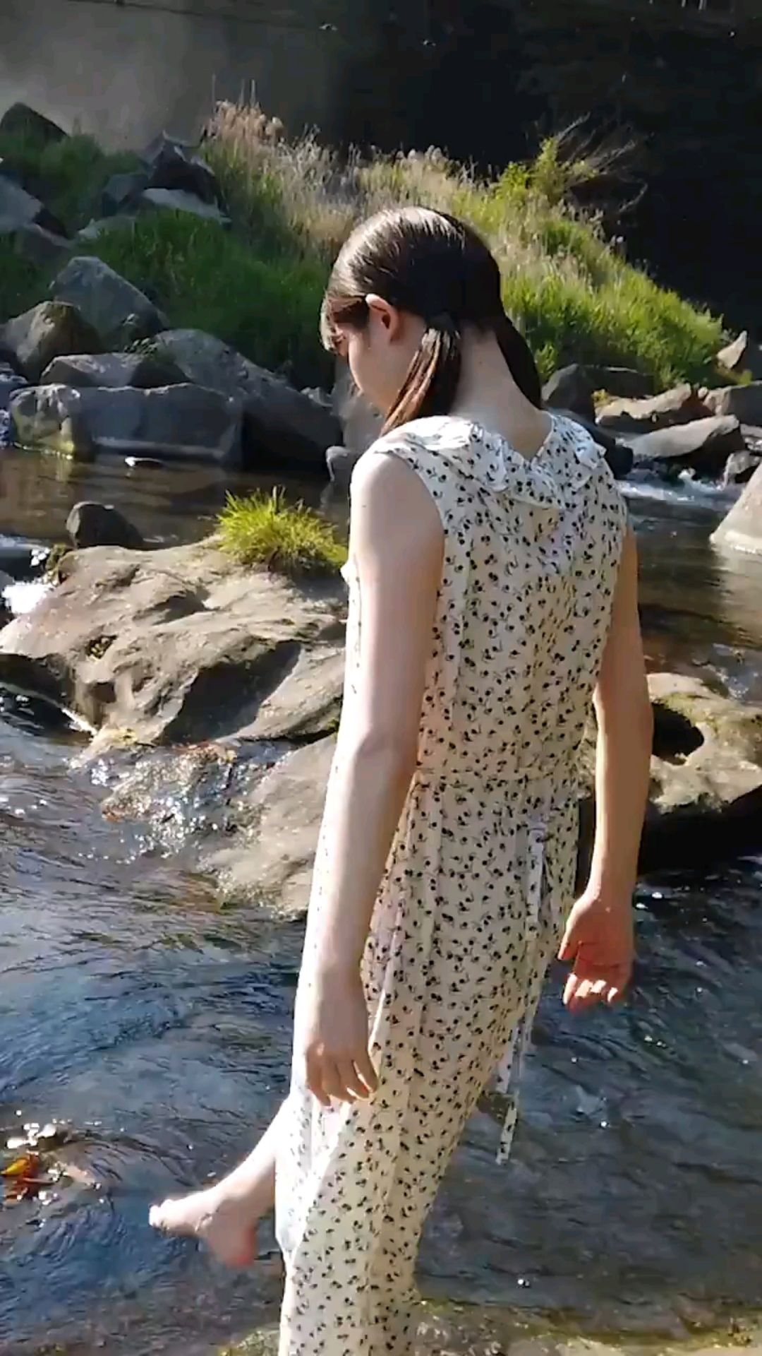 投稿動画サムネイル