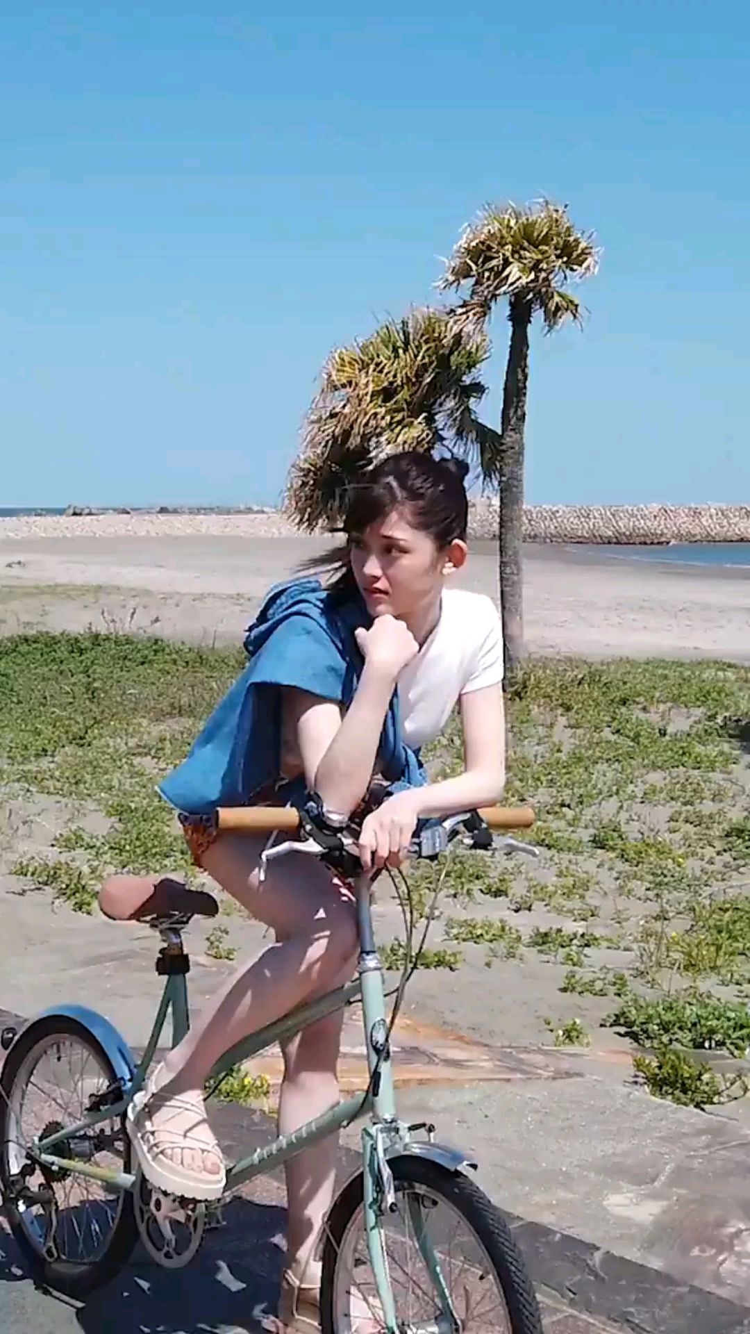 投稿動画サムネイル