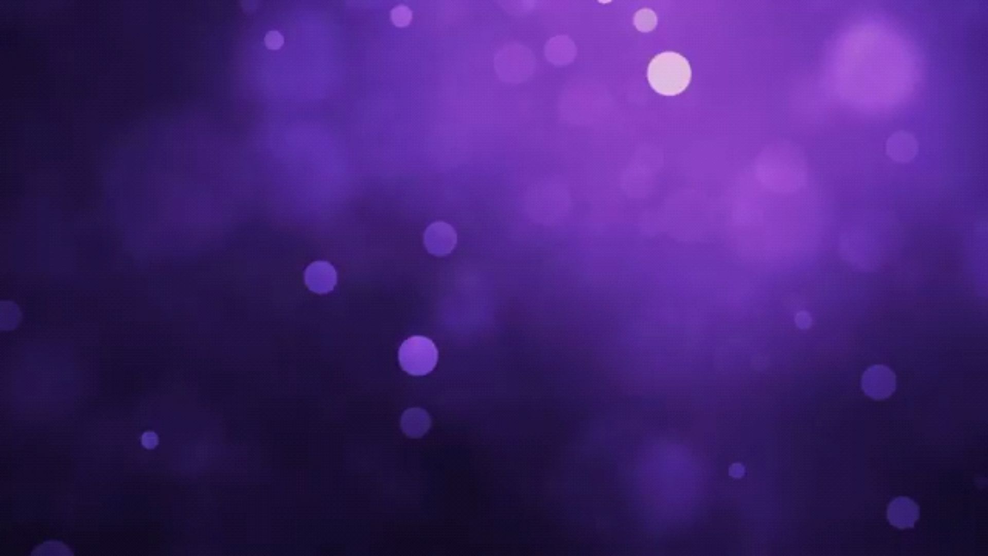 投稿動画サムネイル