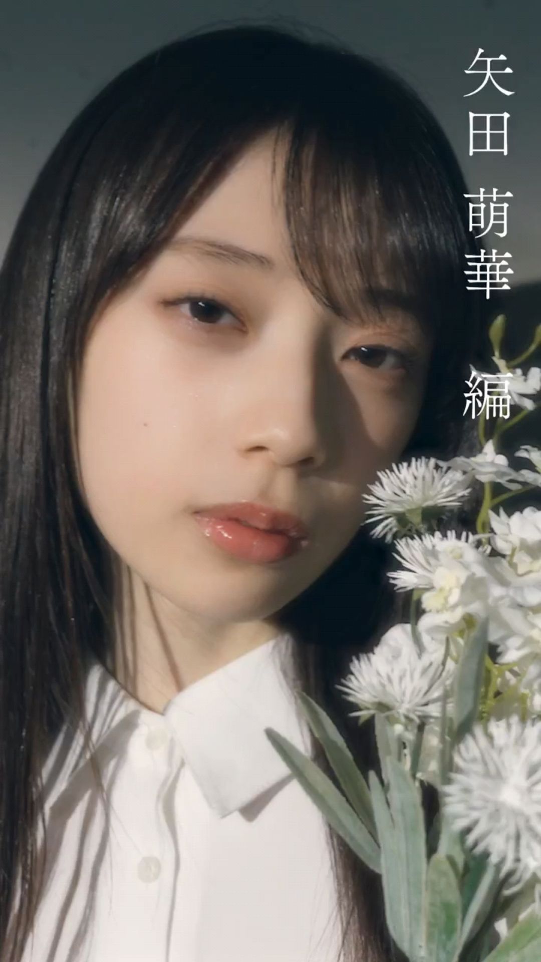 投稿動画サムネイル