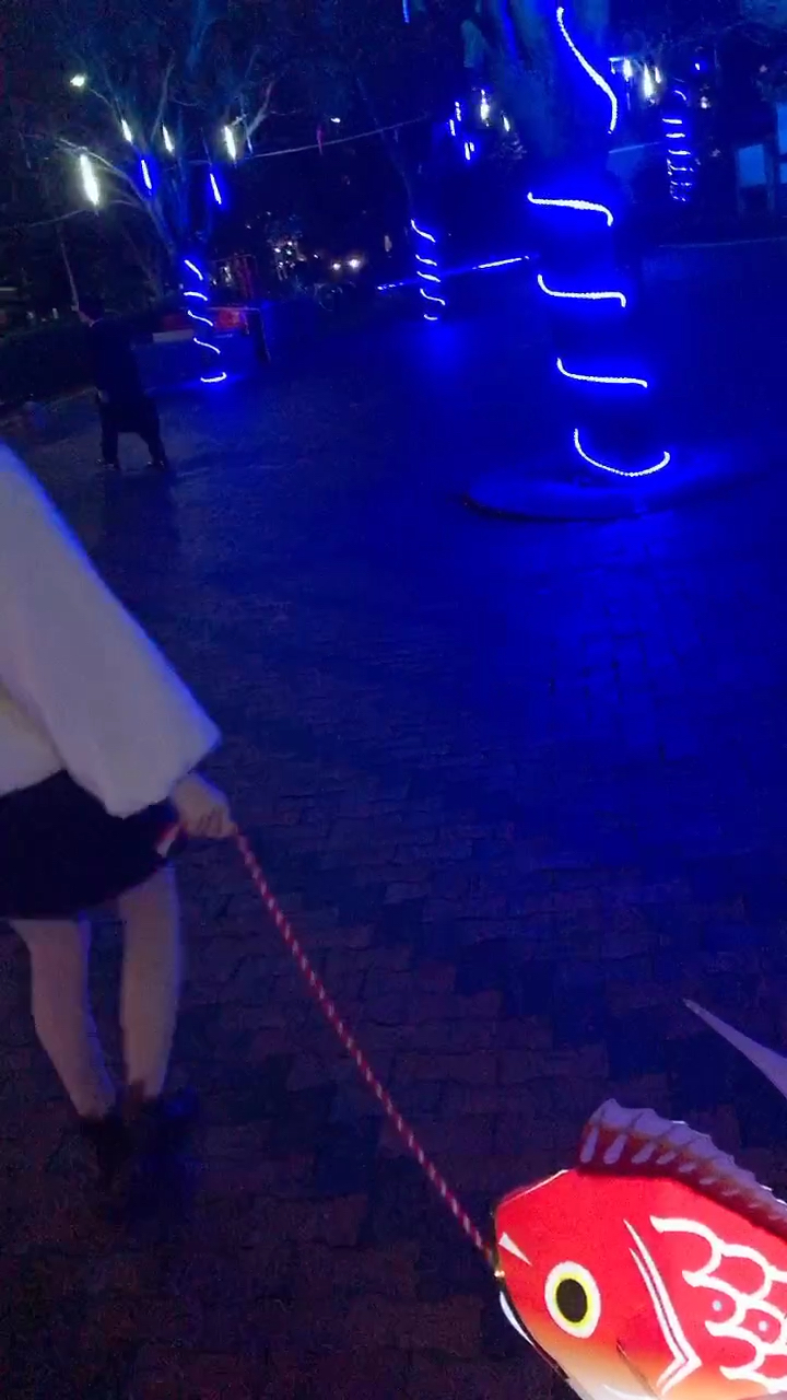 投稿動画サムネイル