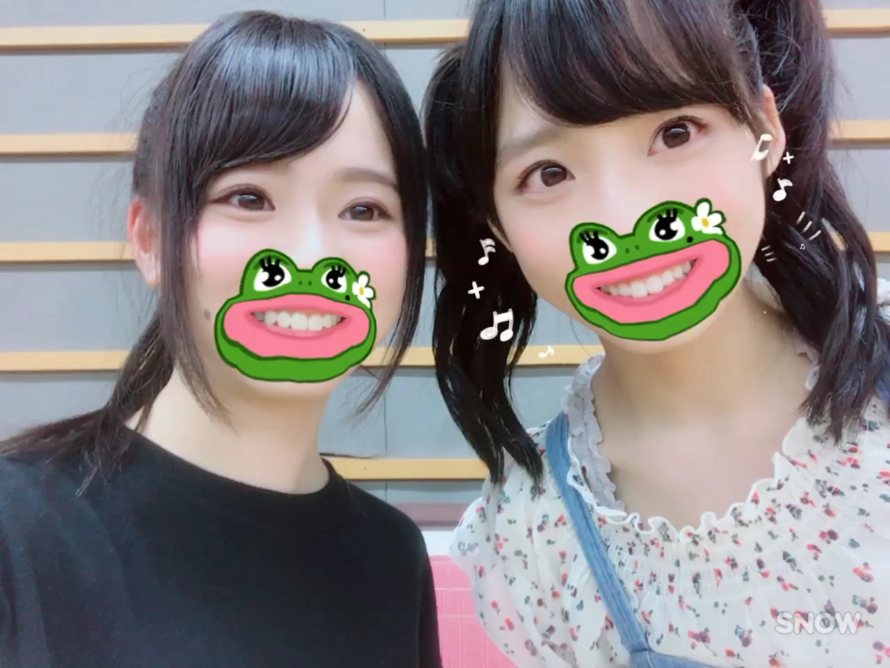 投稿動画サムネイル