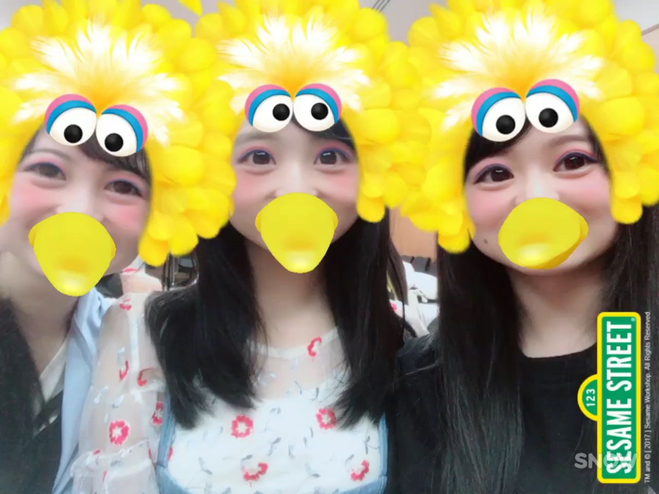 投稿動画サムネイル