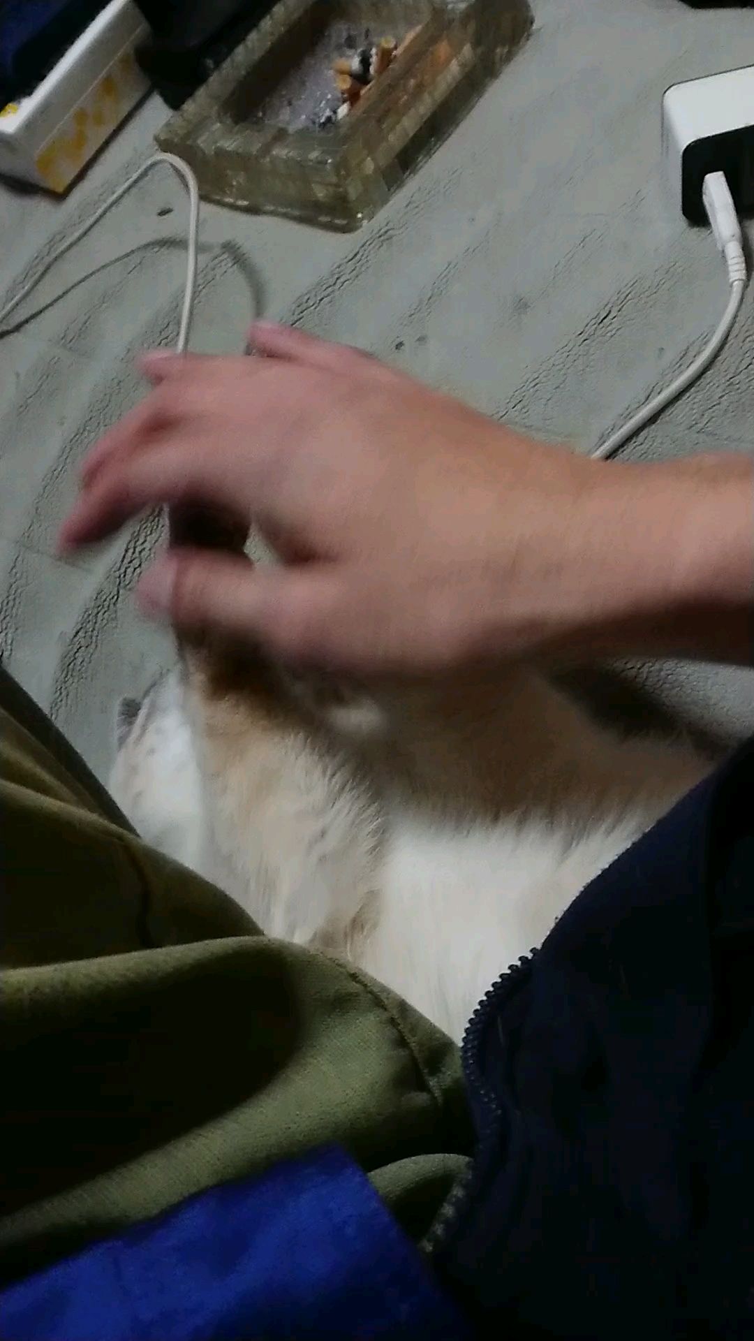 投稿動画サムネイル