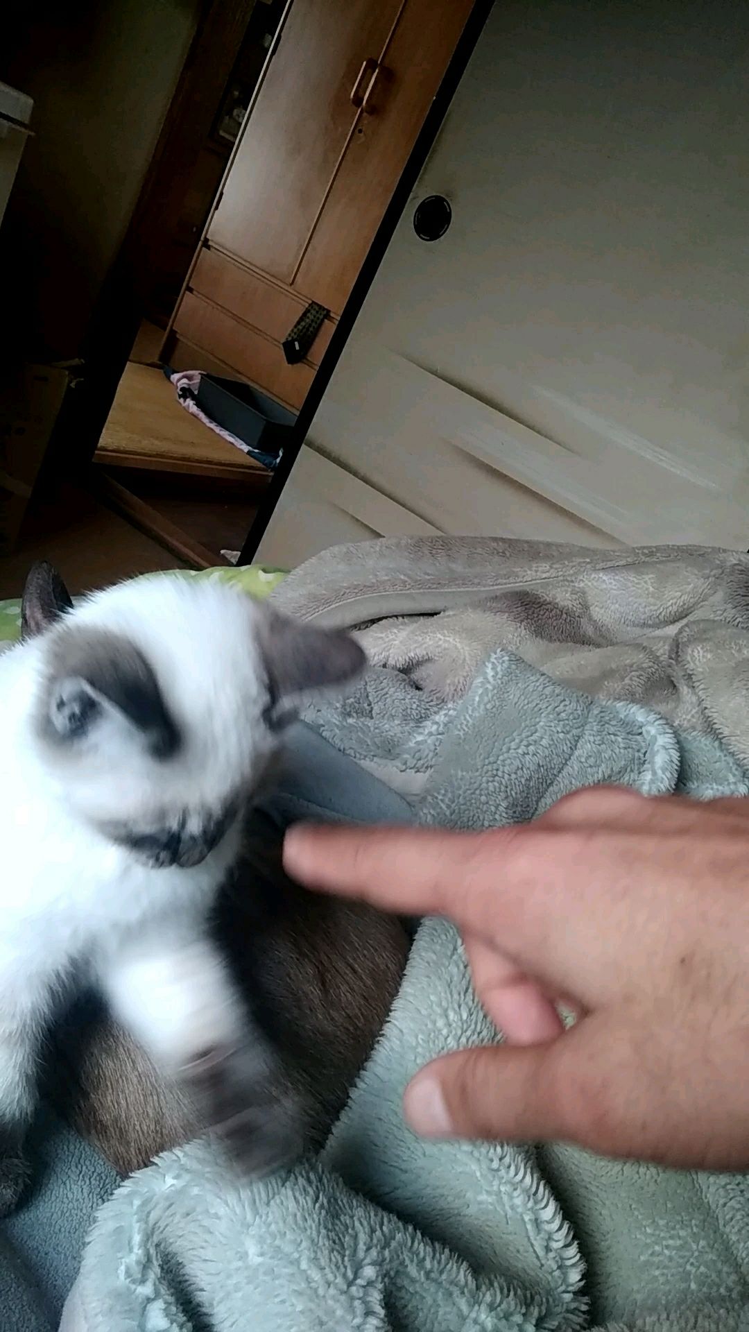 投稿動画サムネイル