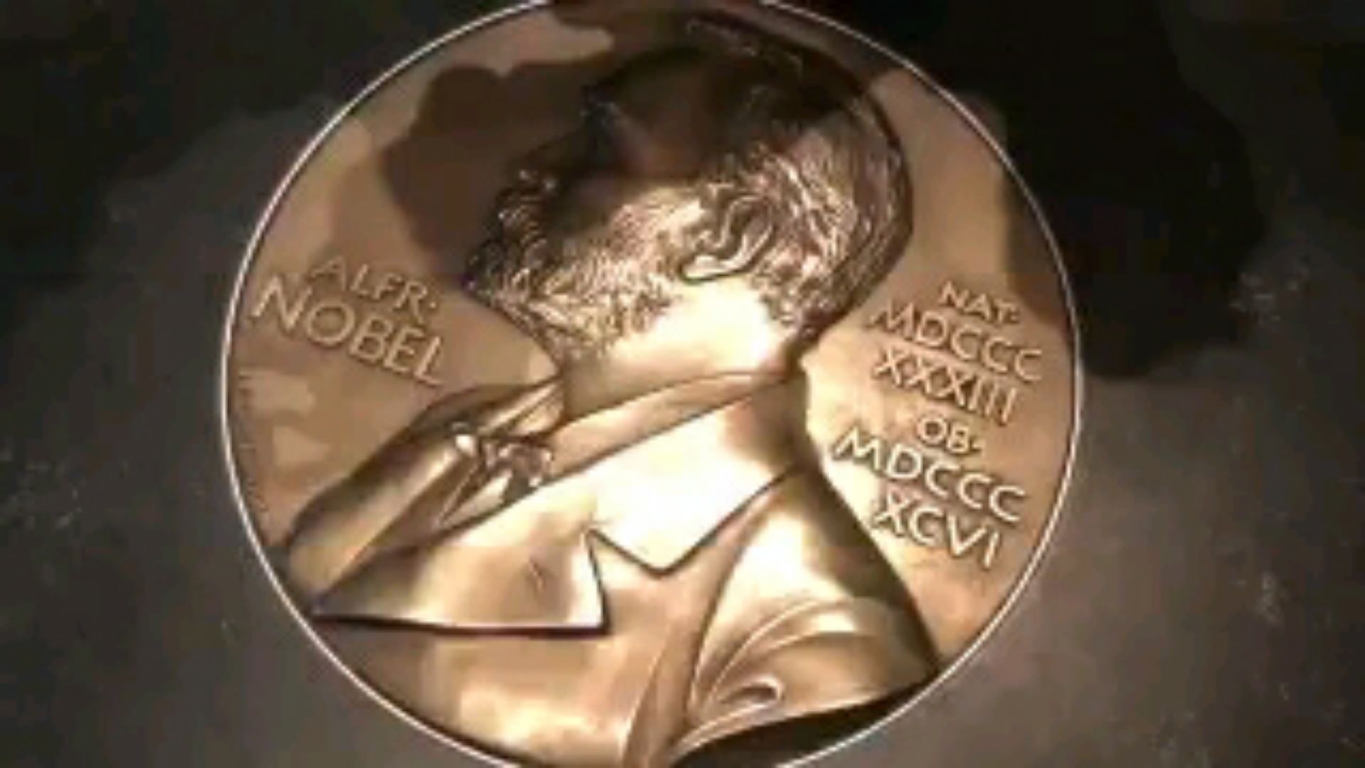 投稿動画サムネイル