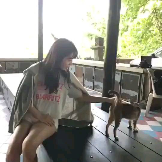 投稿動画サムネイル