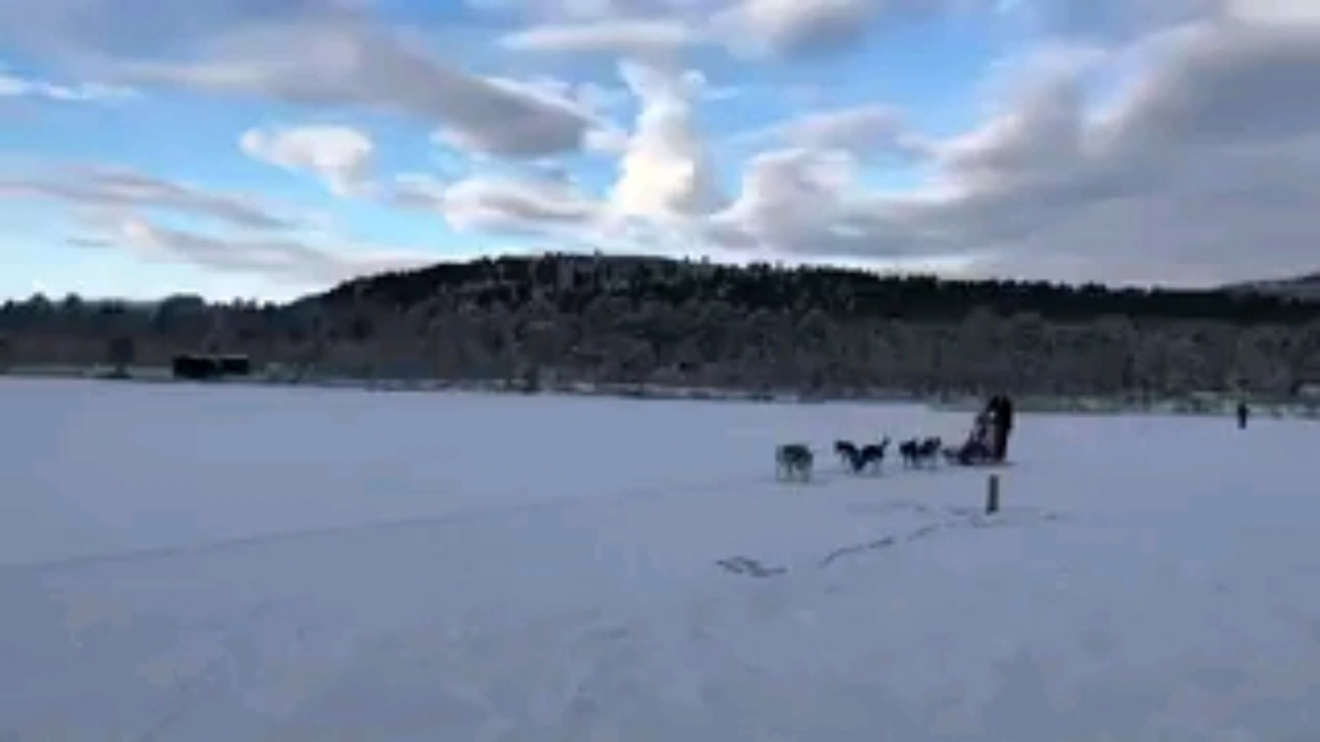 投稿動画サムネイル