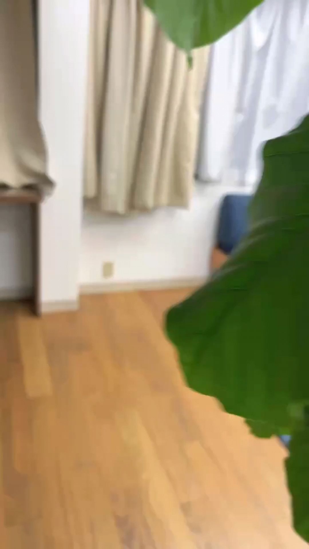 投稿動画サムネイル