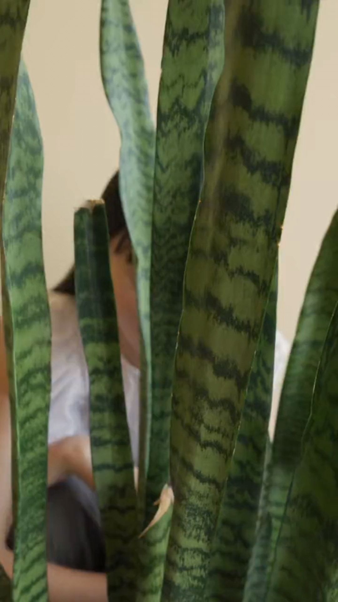 投稿動画サムネイル