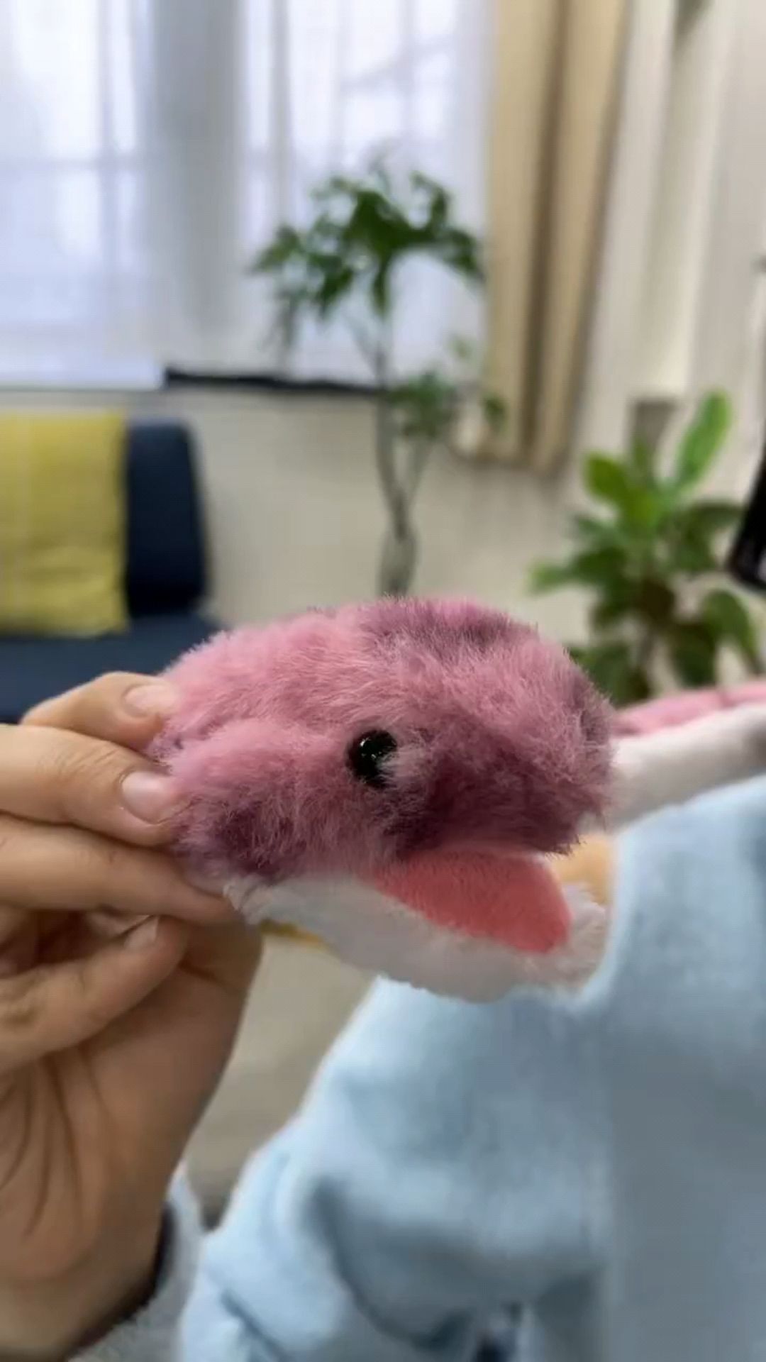 投稿動画サムネイル