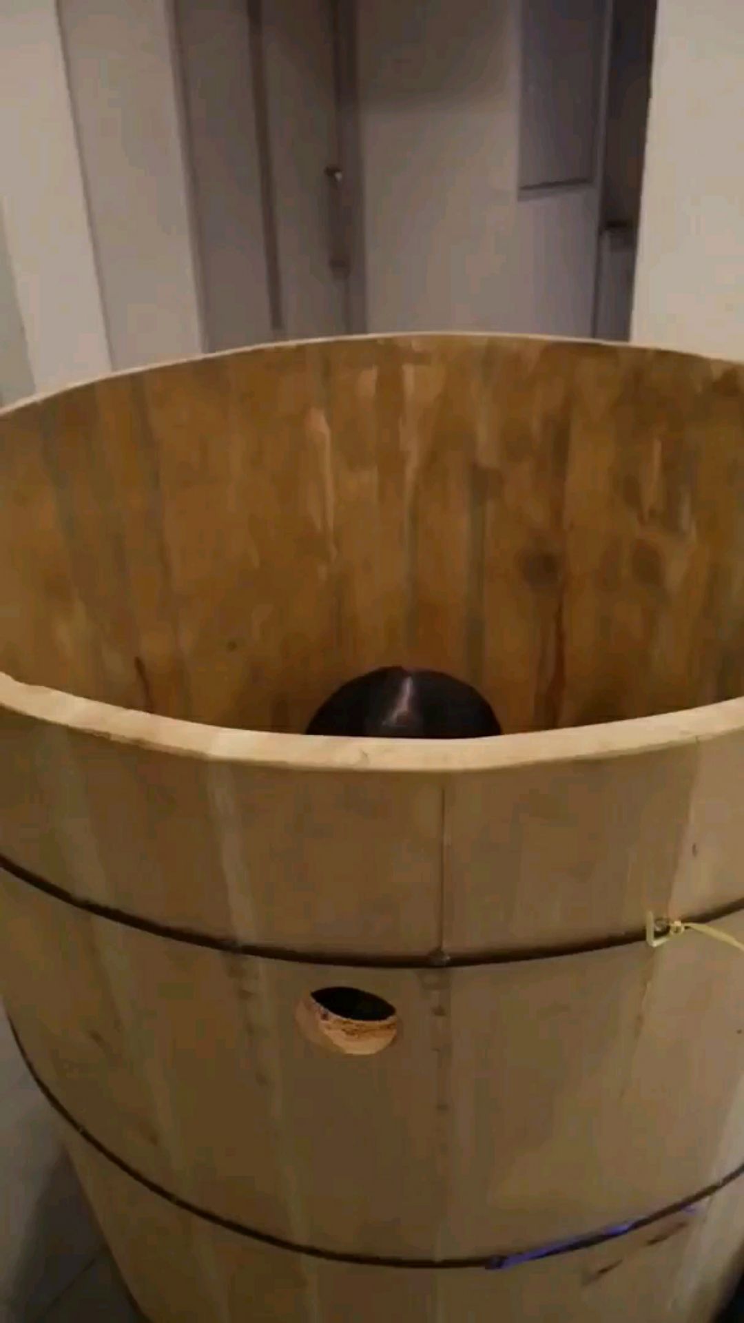 投稿動画サムネイル