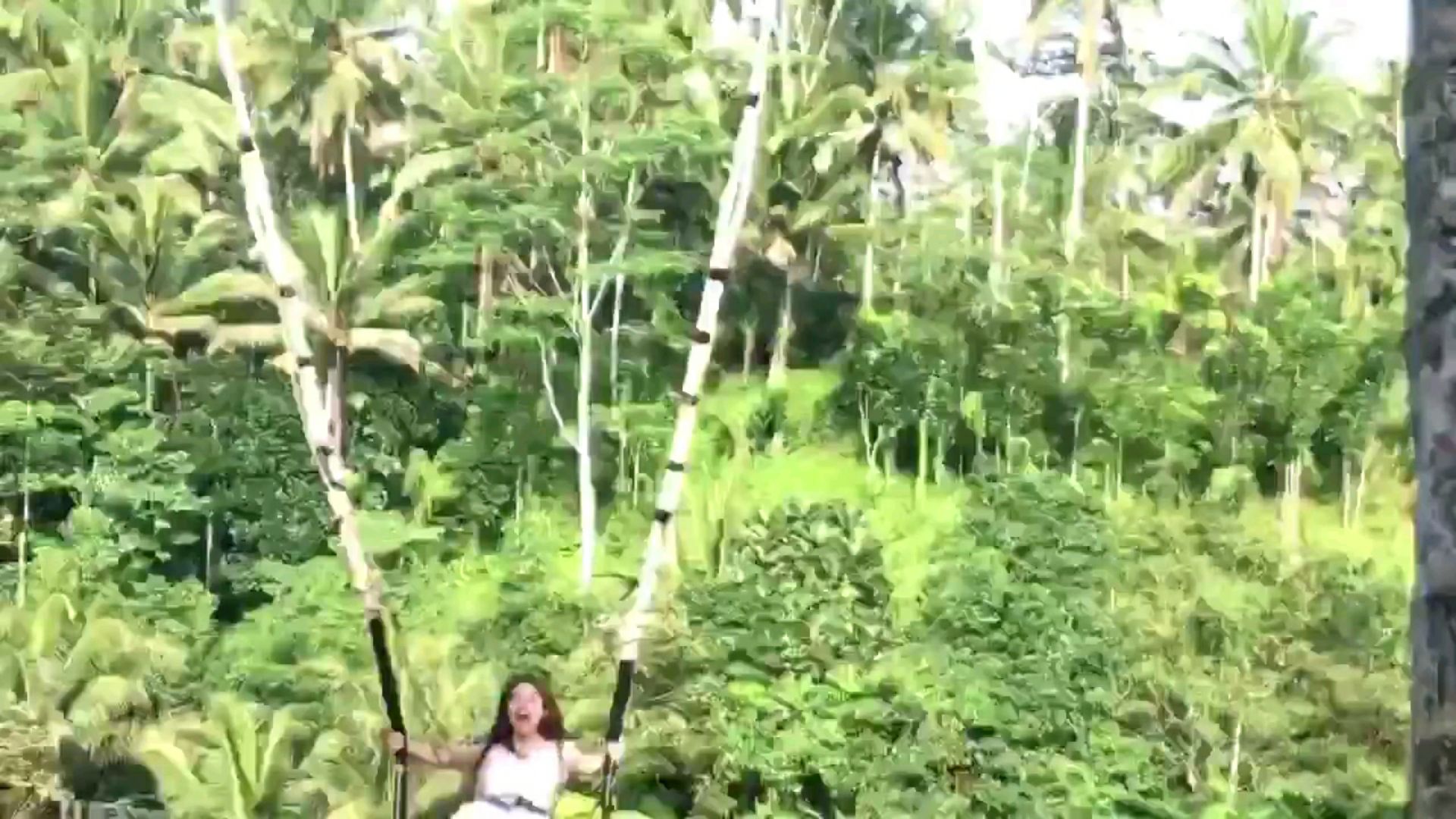 投稿動画サムネイル