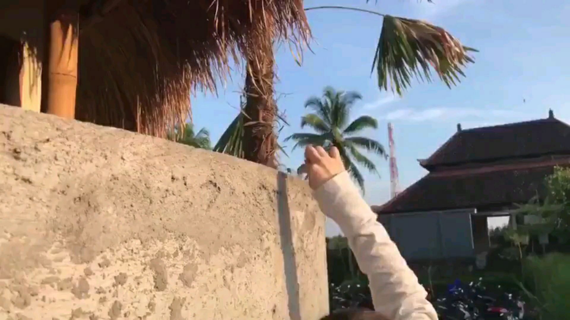 投稿動画サムネイル