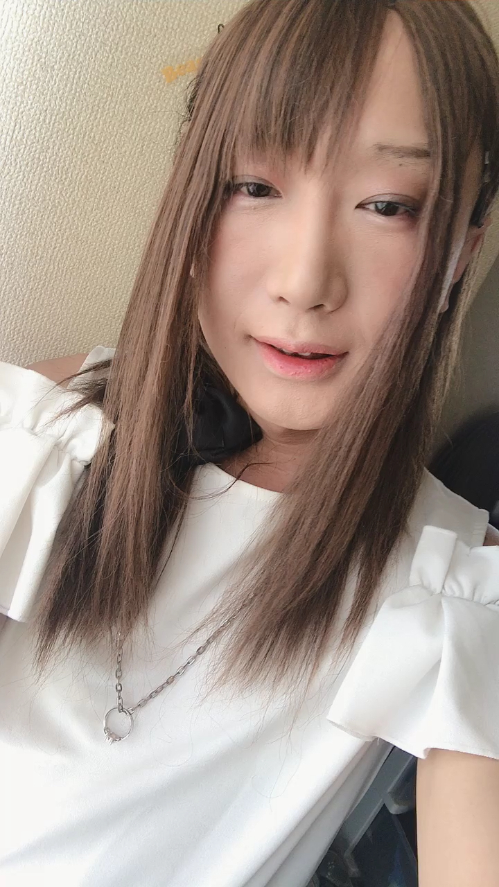 投稿動画サムネイル