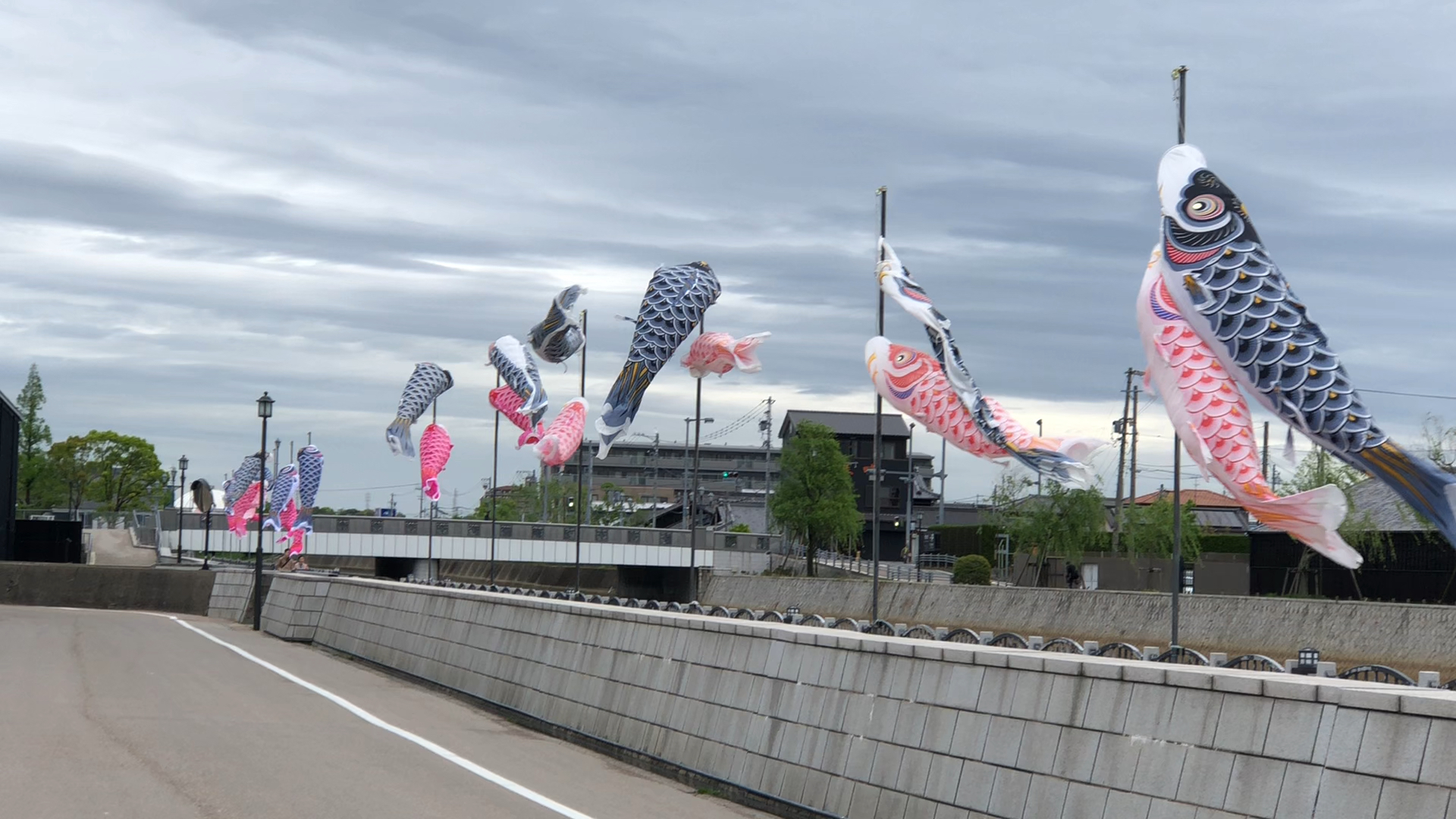 投稿動画サムネイル