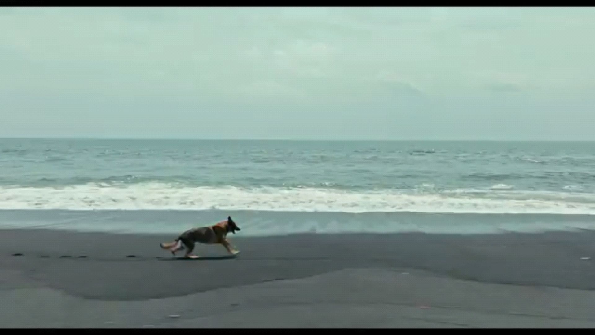 投稿動画サムネイル