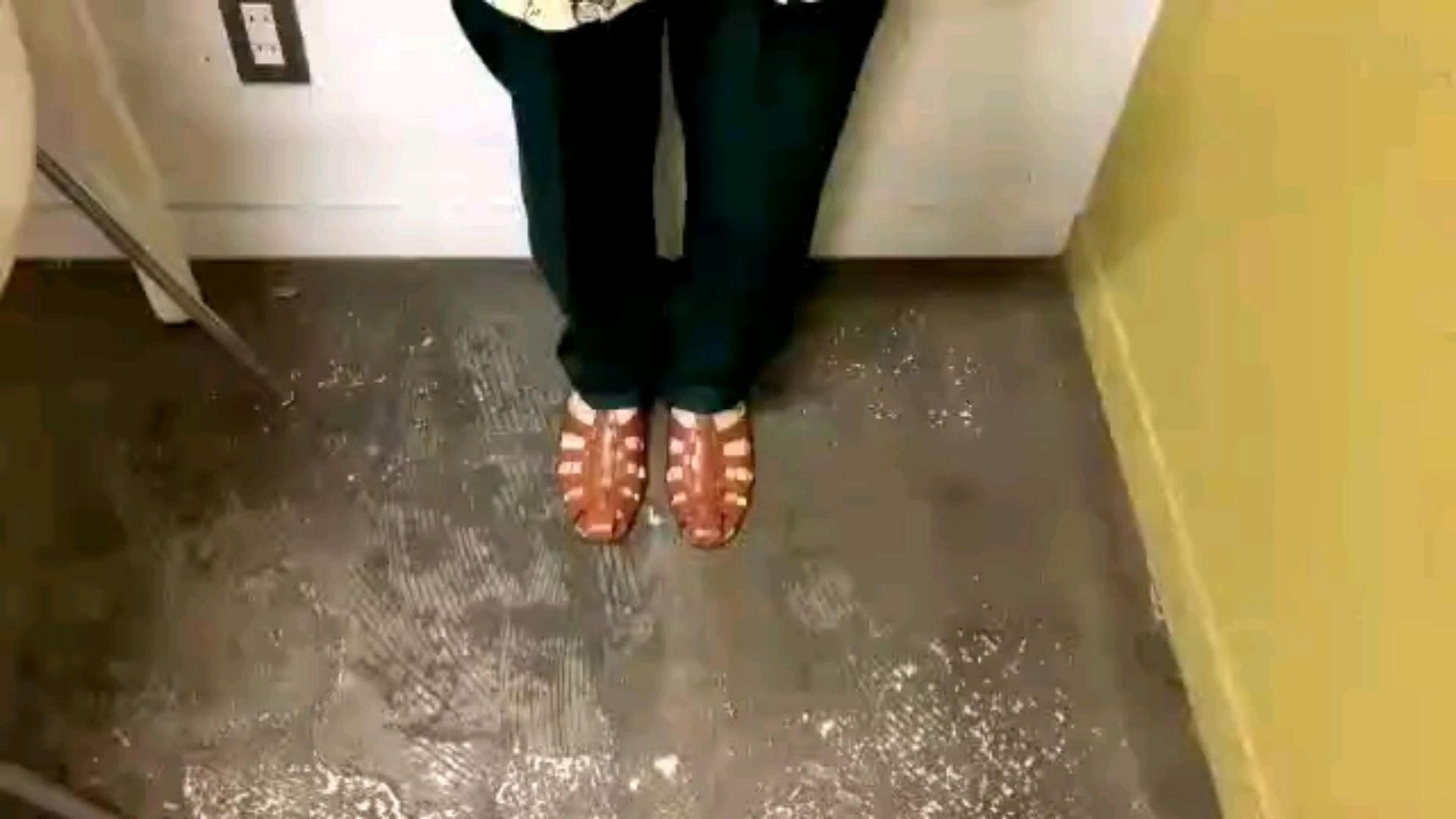 投稿動画サムネイル