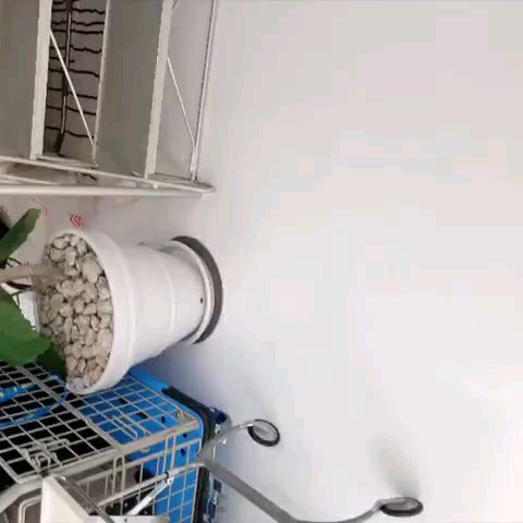 投稿動画サムネイル