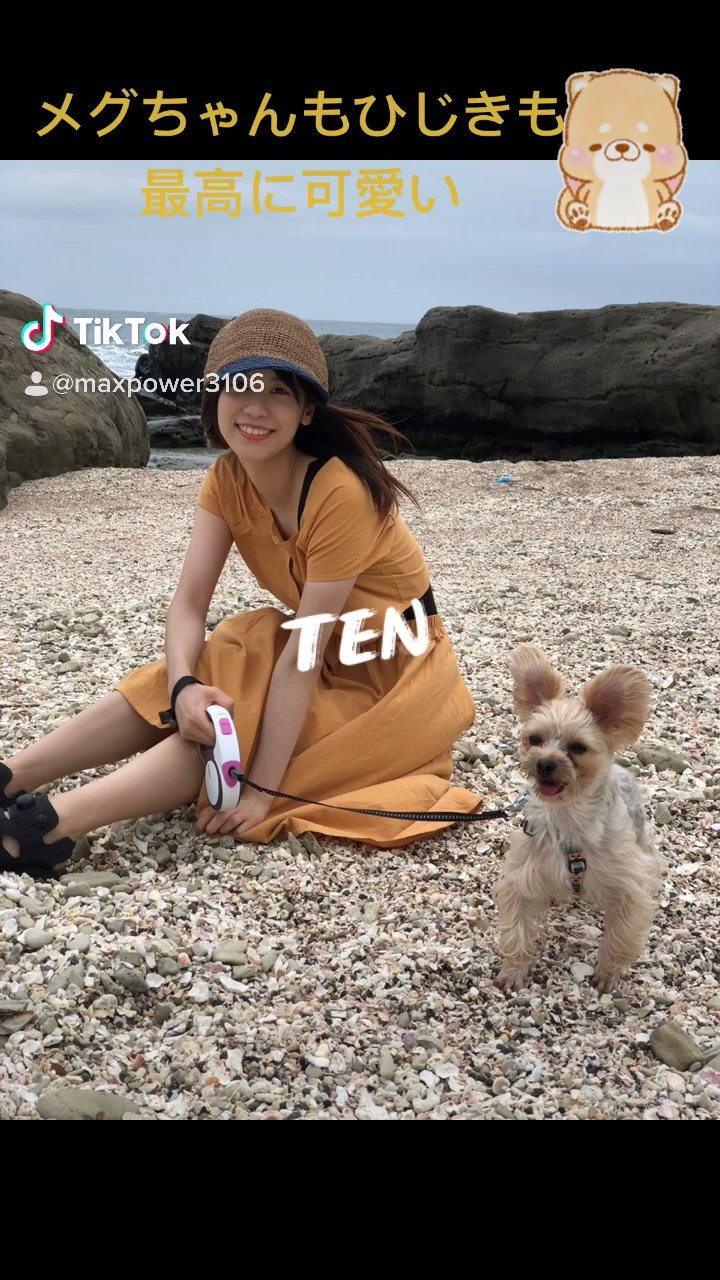 投稿動画サムネイル