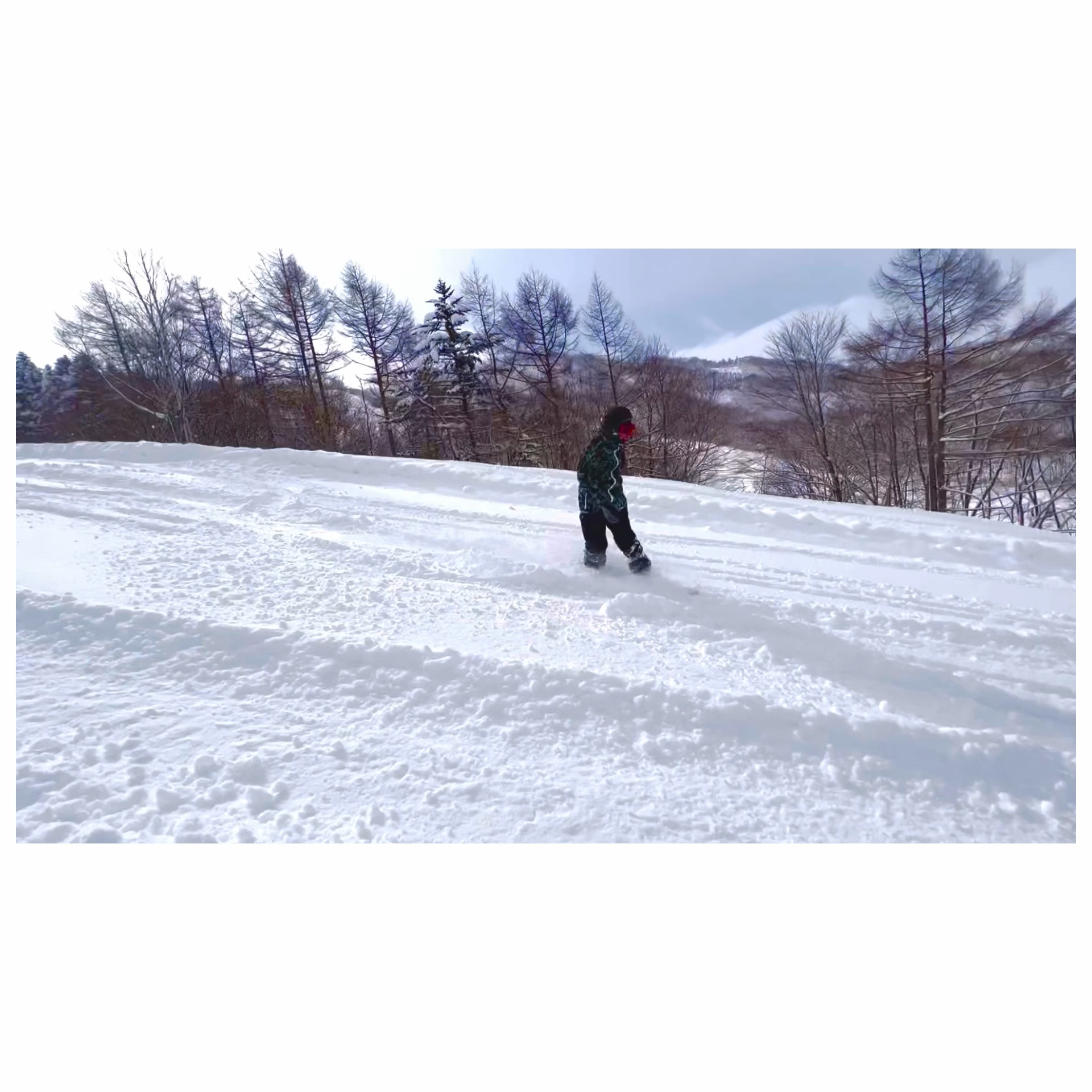 投稿動画サムネイル