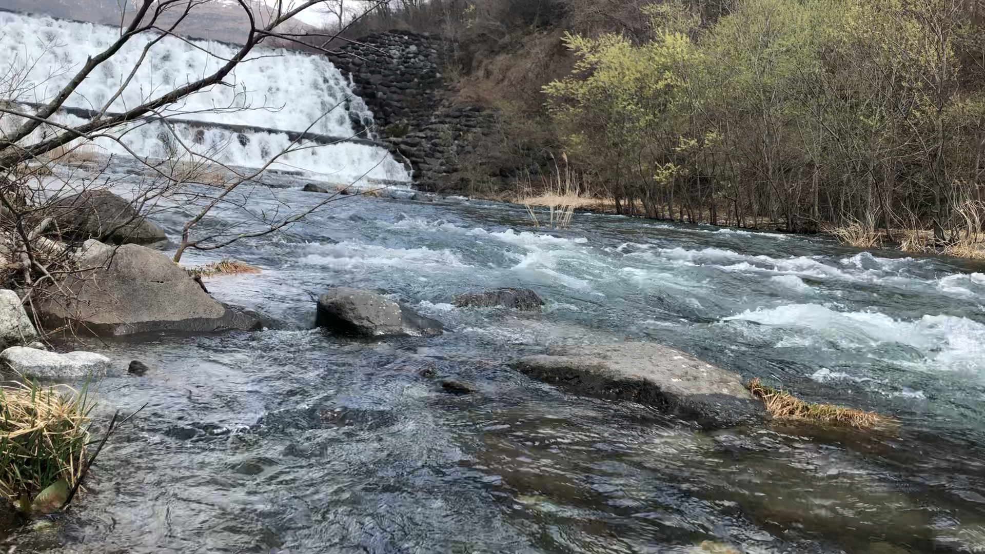 投稿動画サムネイル