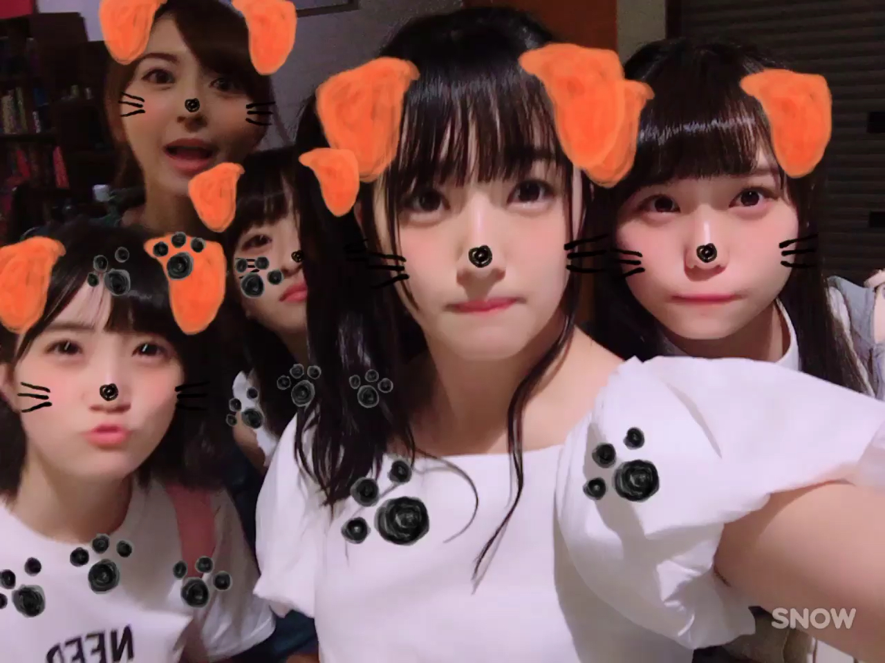 投稿動画サムネイル