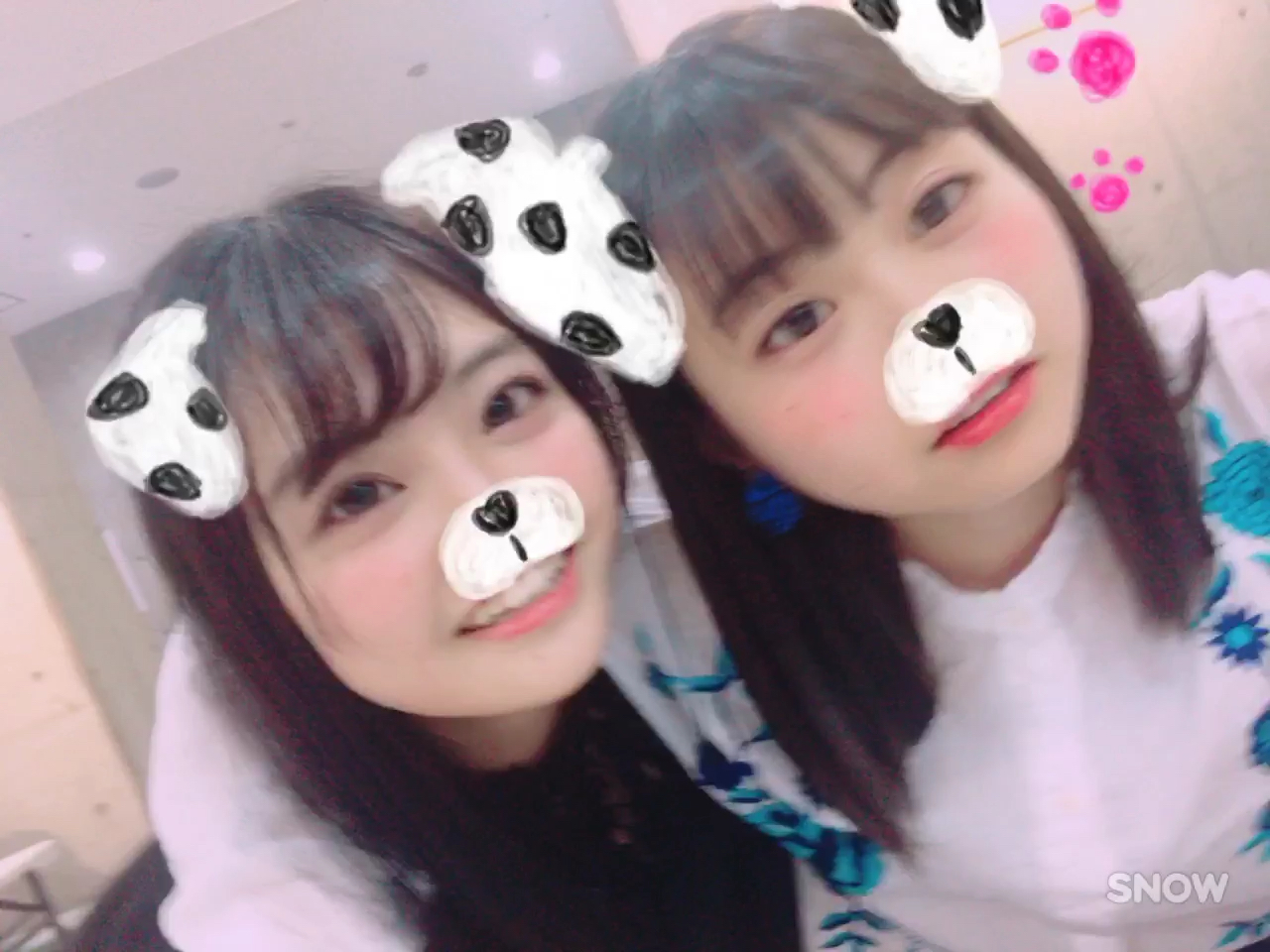 投稿動画サムネイル