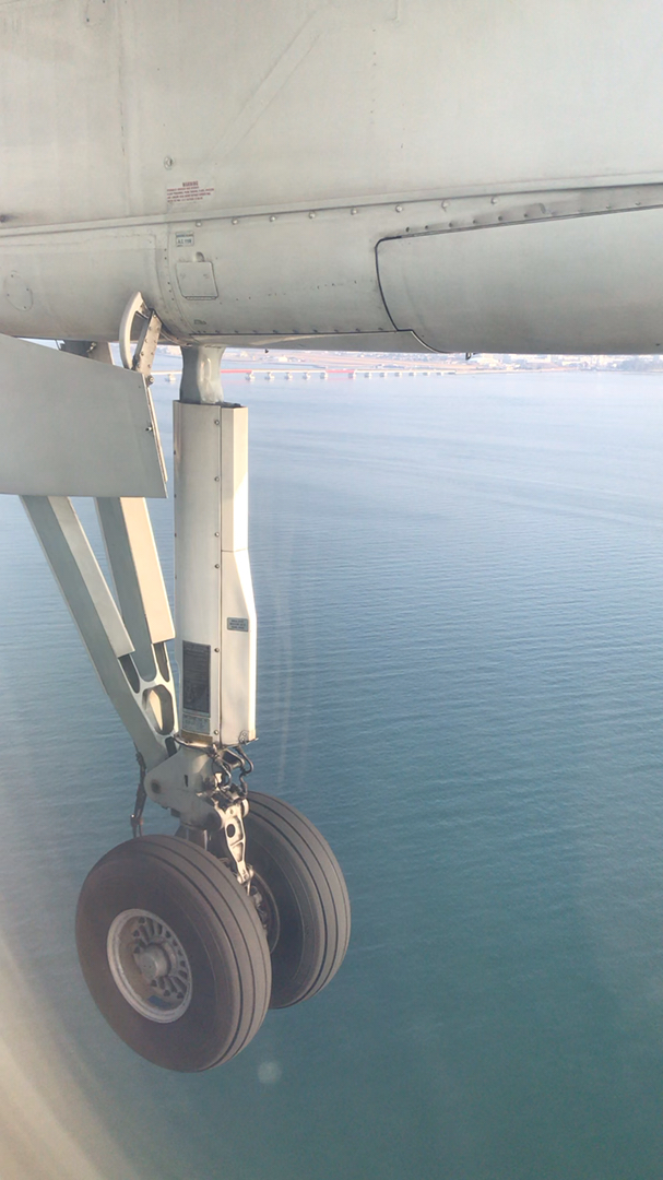 投稿動画サムネイル