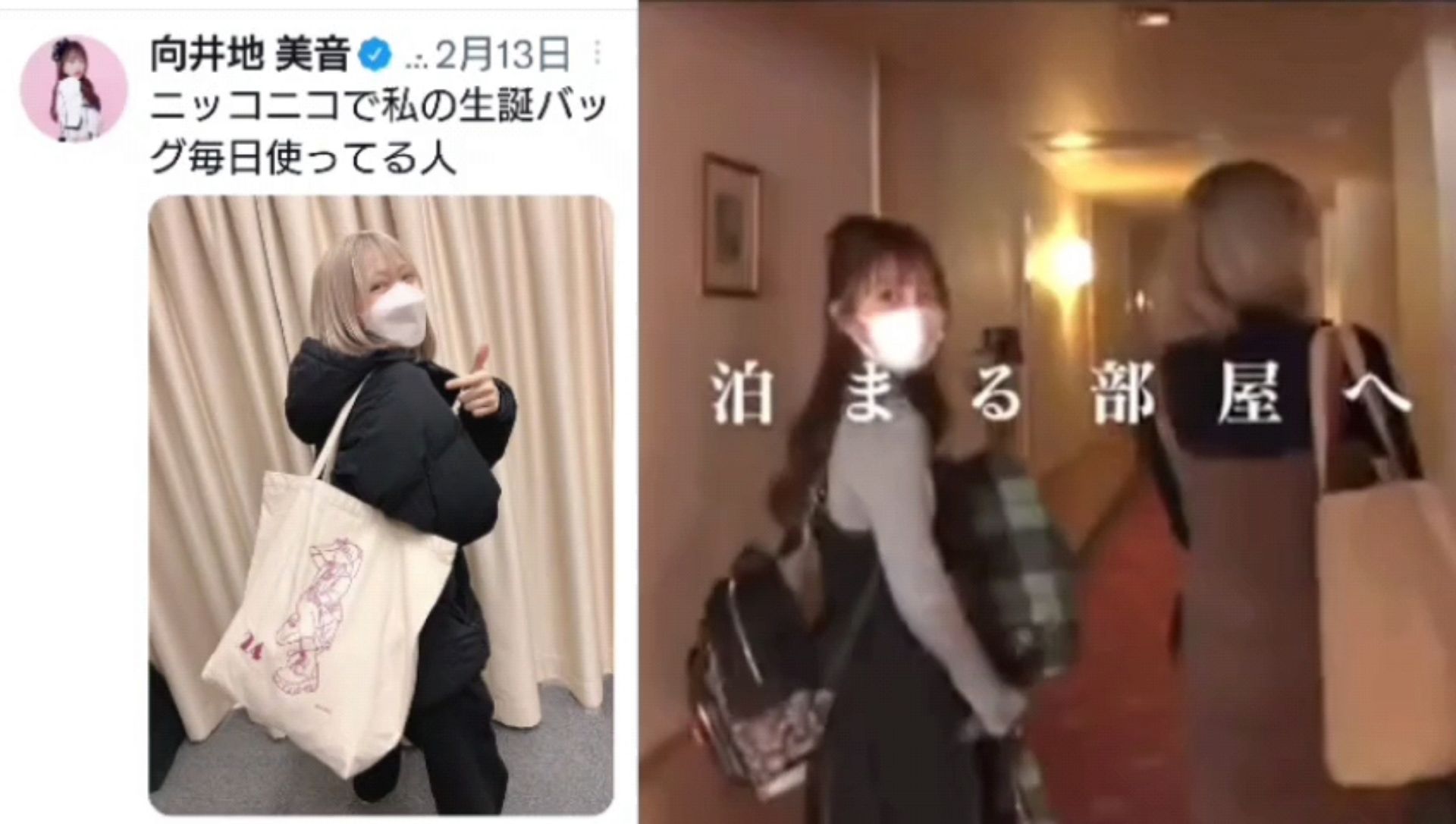 投稿動画サムネイル