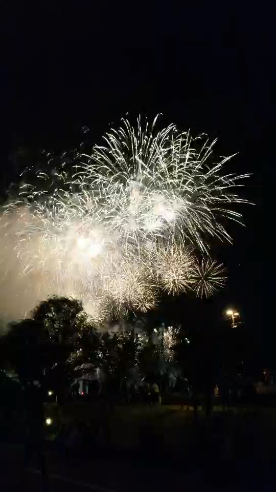 投稿動画サムネイル