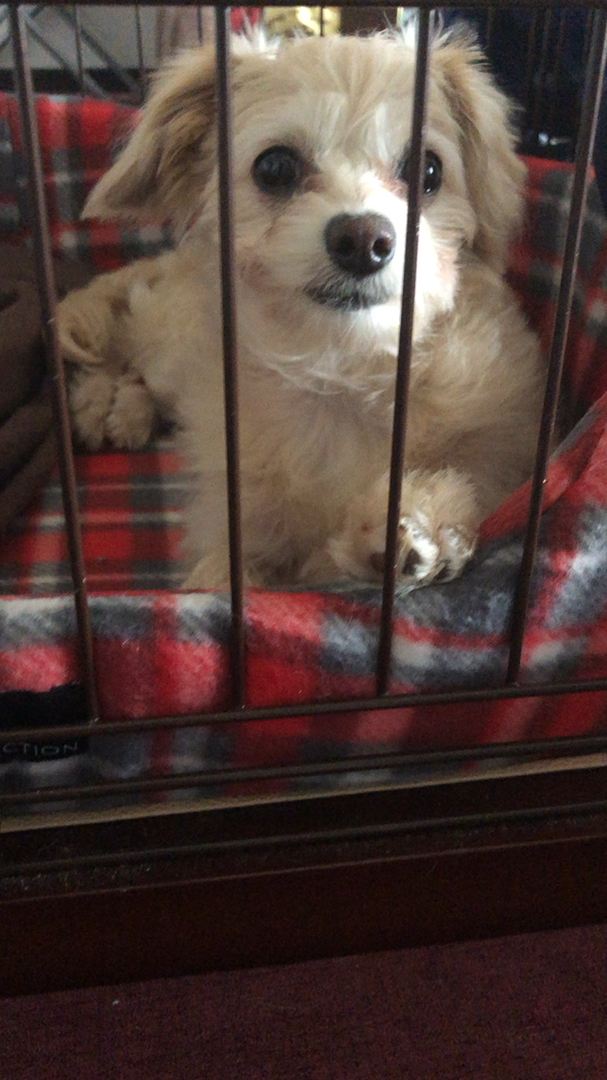 投稿動画サムネイル