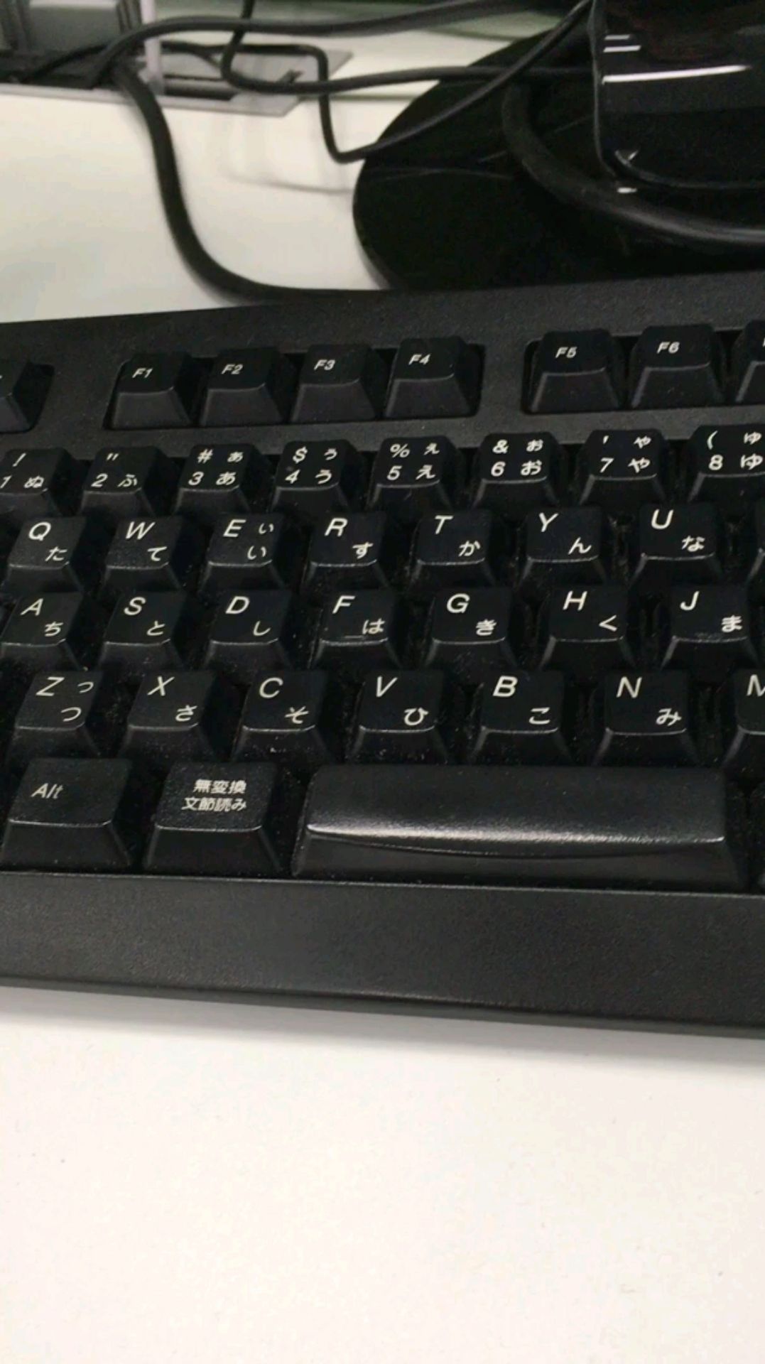 投稿動画サムネイル