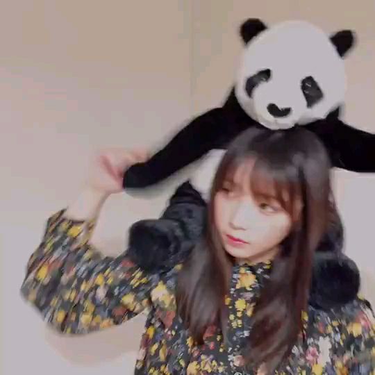 投稿動画サムネイル