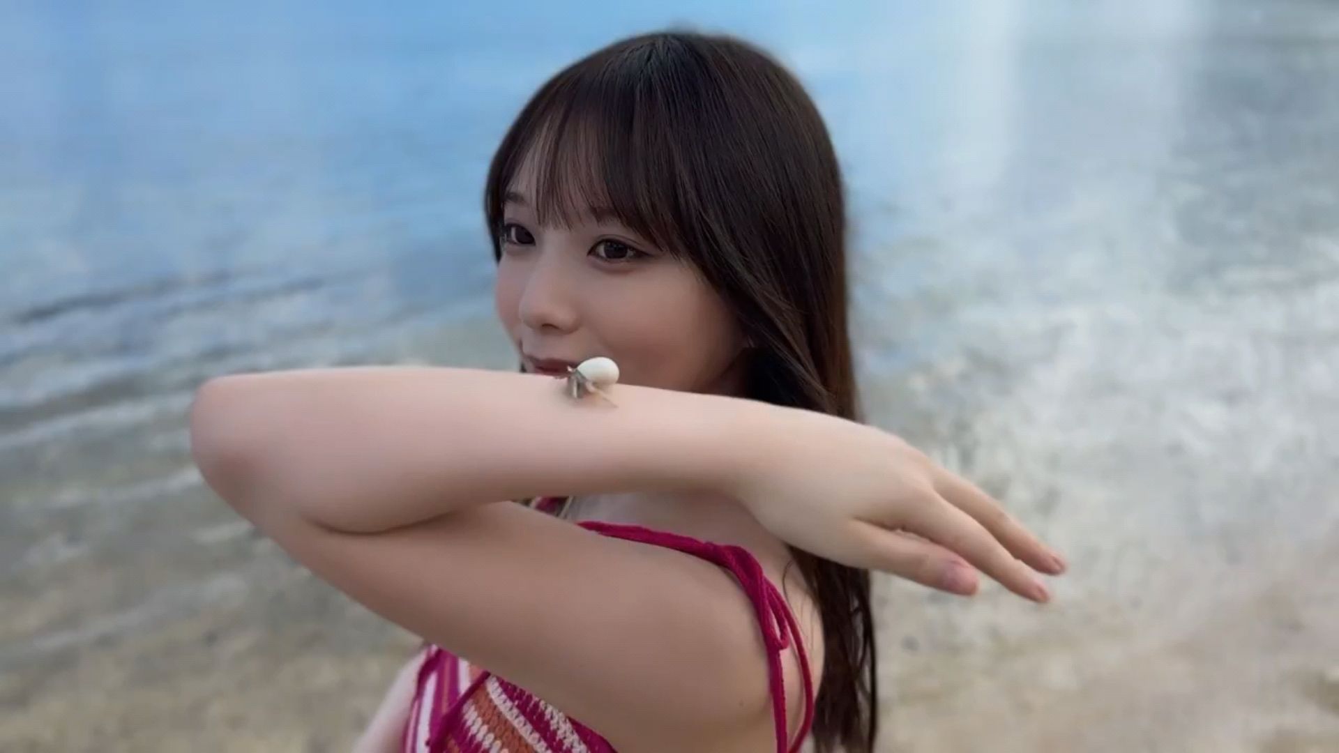 投稿動画サムネイル