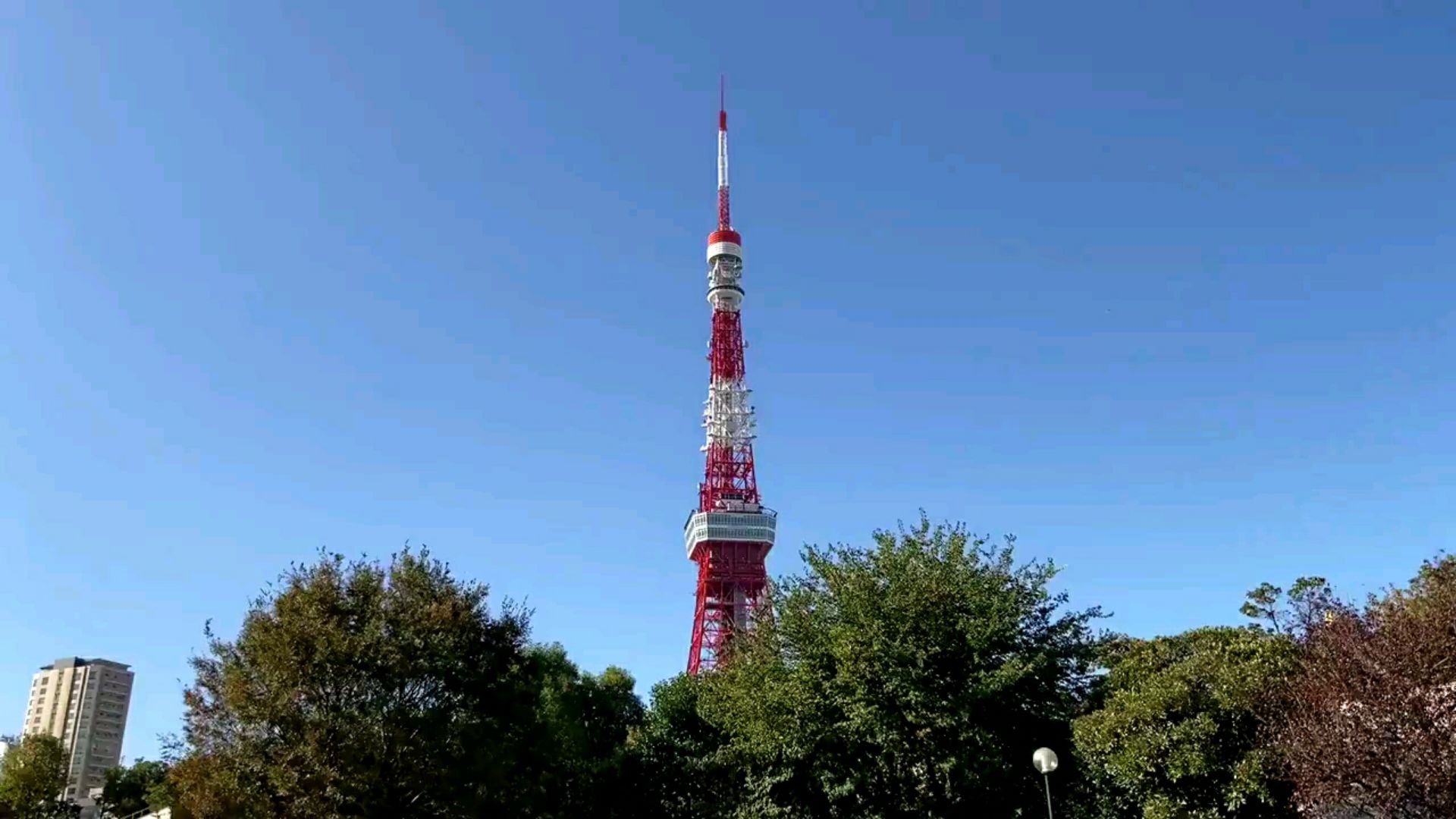 投稿動画サムネイル